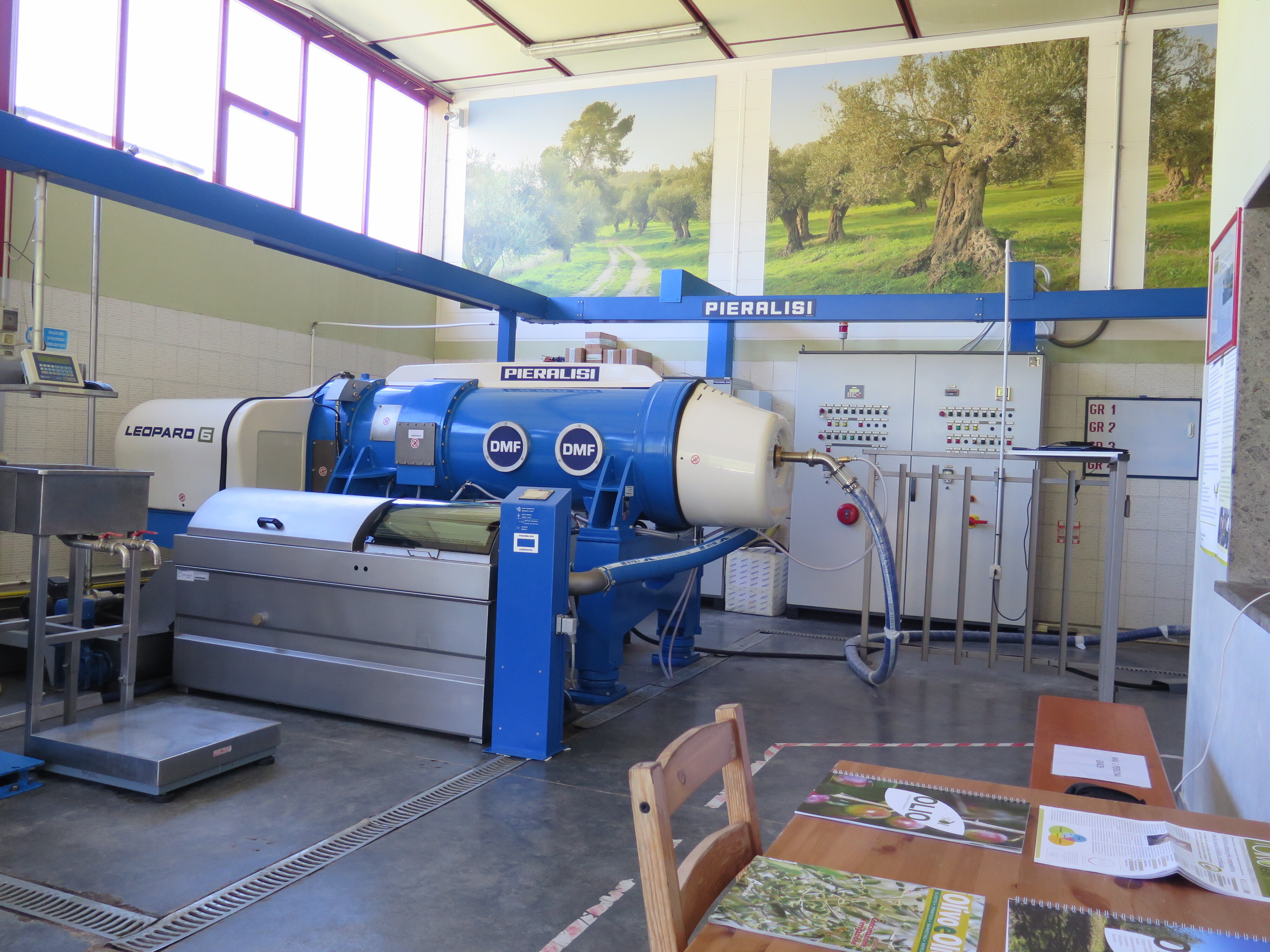 In a bid to improve productivity and sustainability, Italy is investing €100 million in the country’s olive mills.