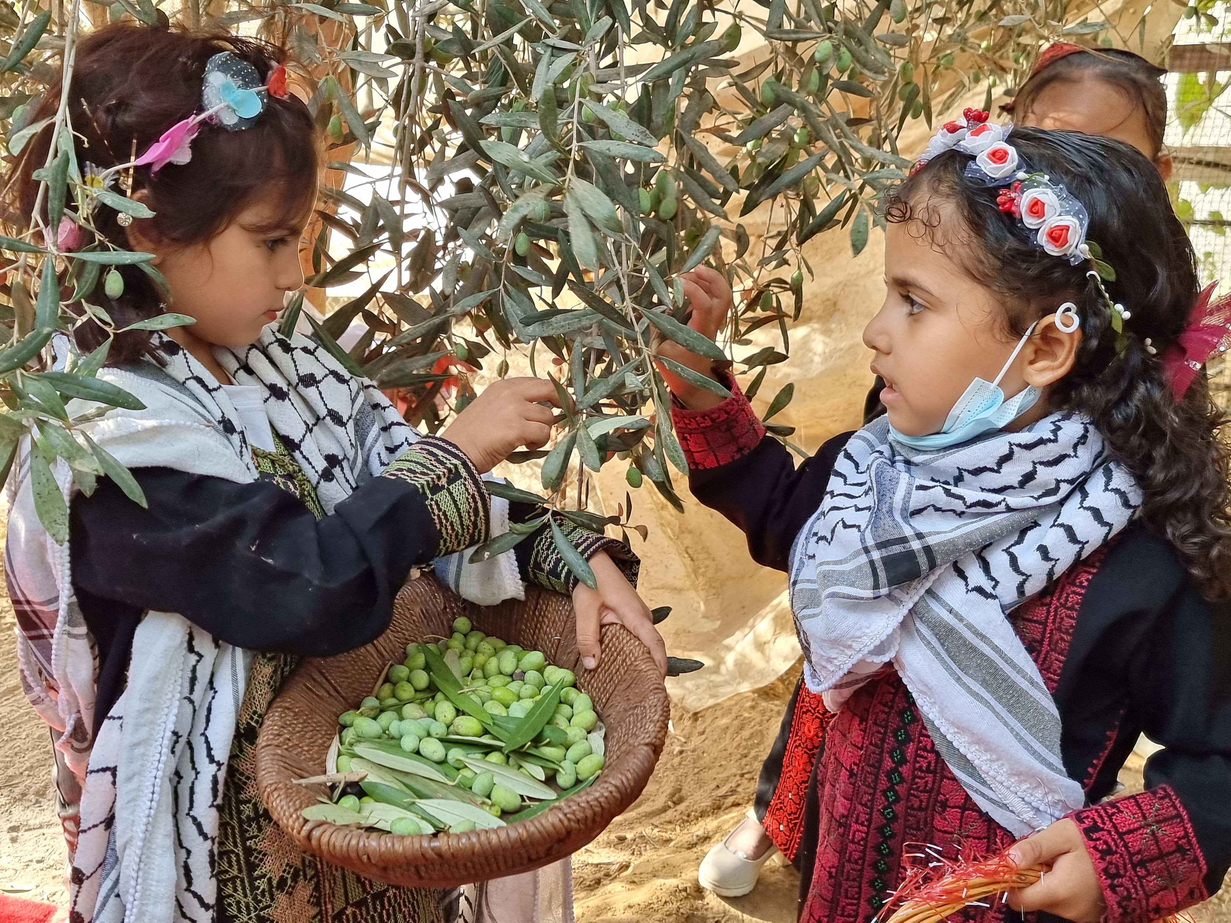 According to Khan, one olive tree planting project will support up to 200 families with food and income.
