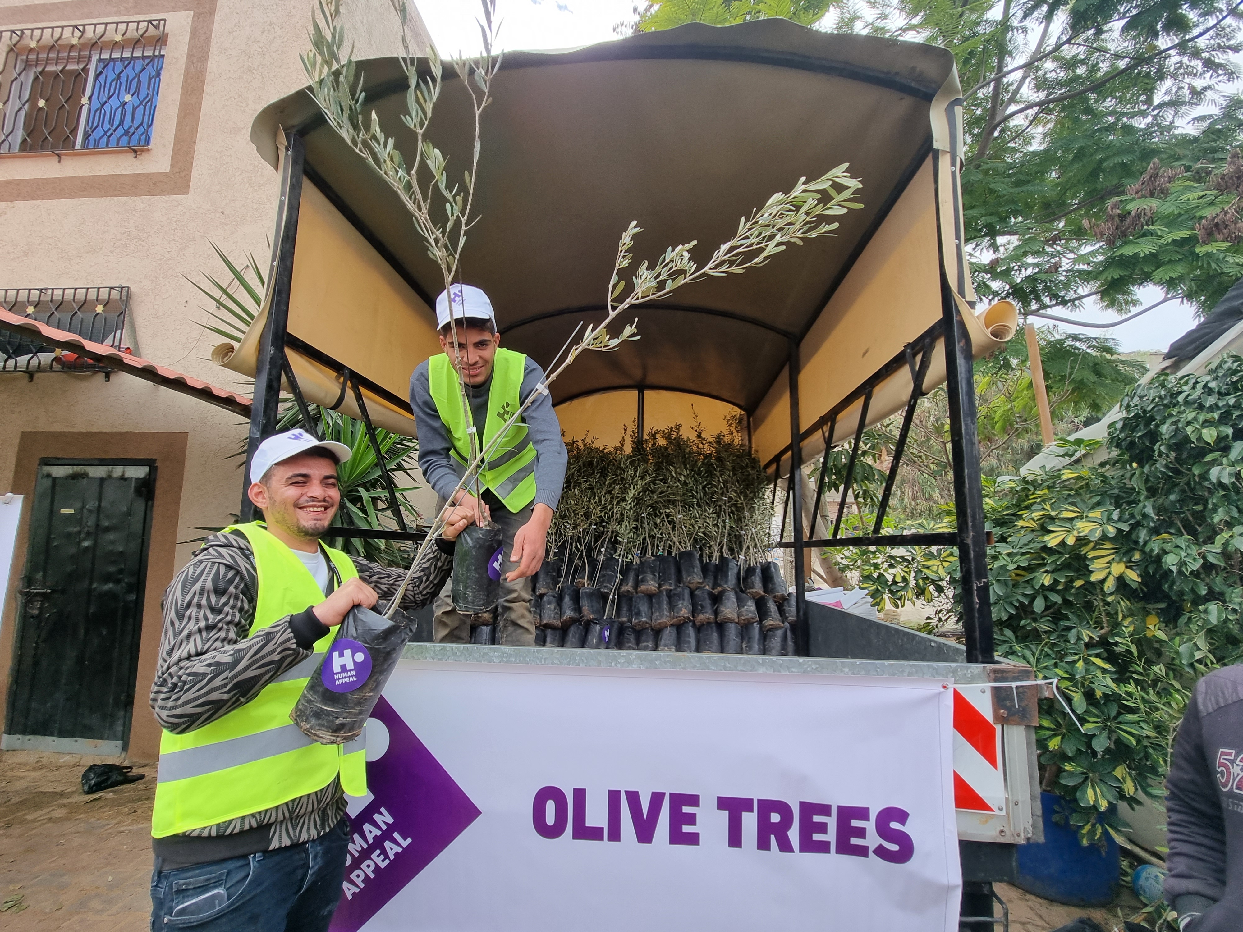 Human Appeal plans to plant 50,000 olive trees in the West Bank and Gaza over the next five years.