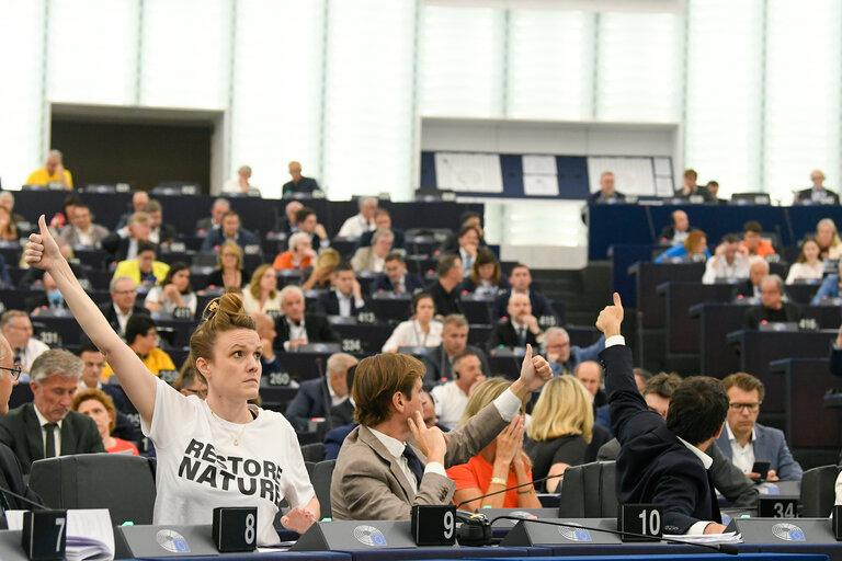 Voting for the Nature Restoration Law (European Parliament)