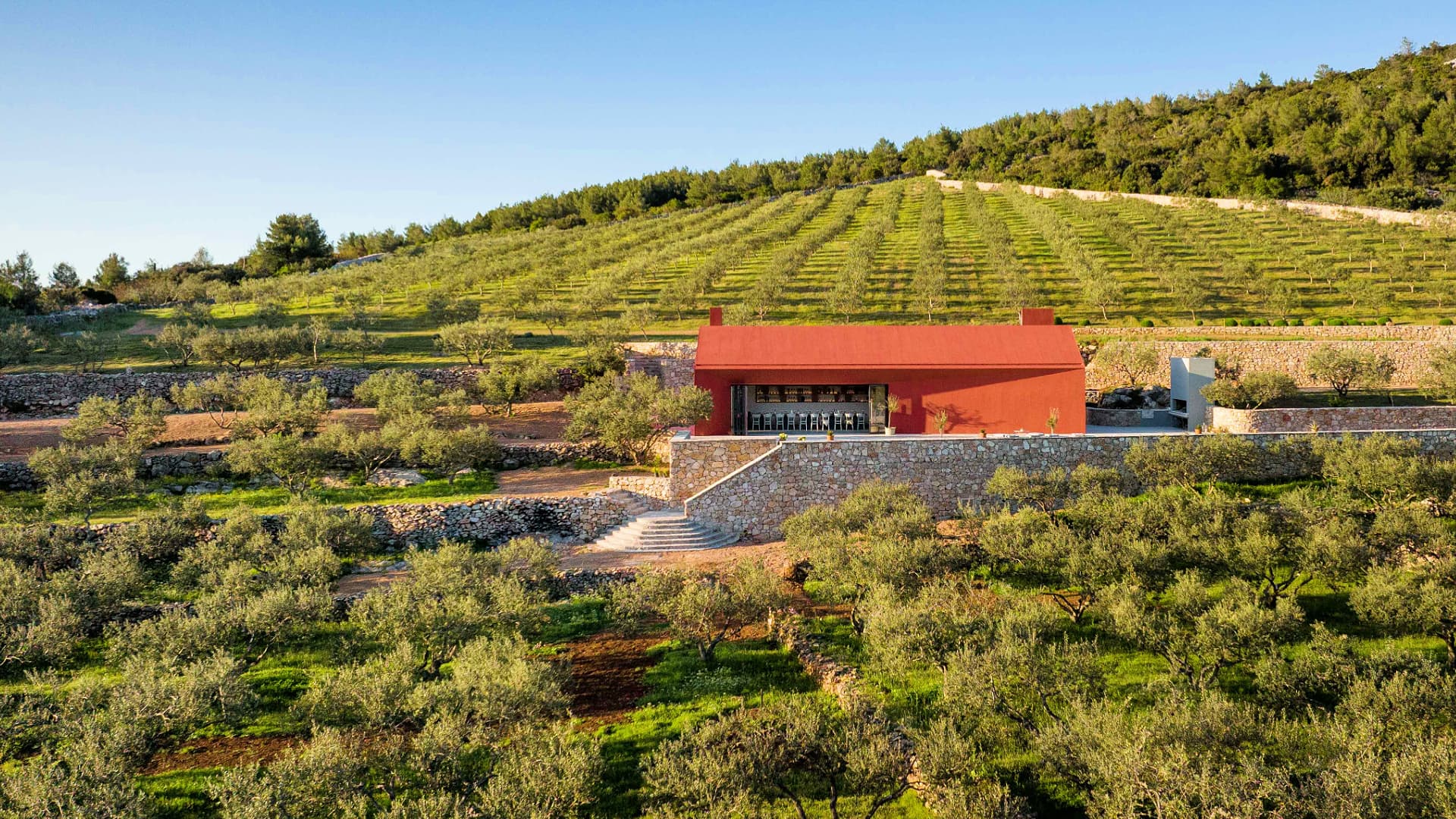House of olive oil in the center of the olive grove