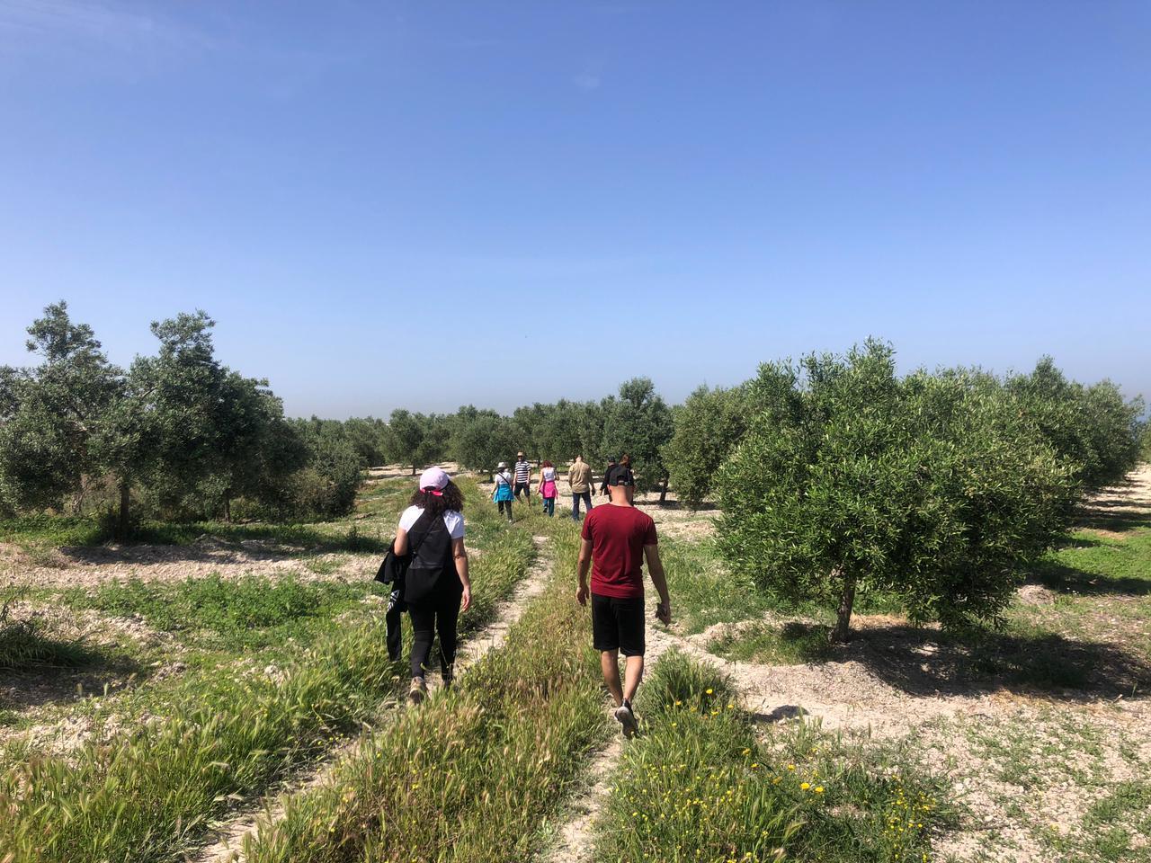 As the city expands, more people visit Bustan El Zeitoun’s groves to enjoy the natural surroundings.