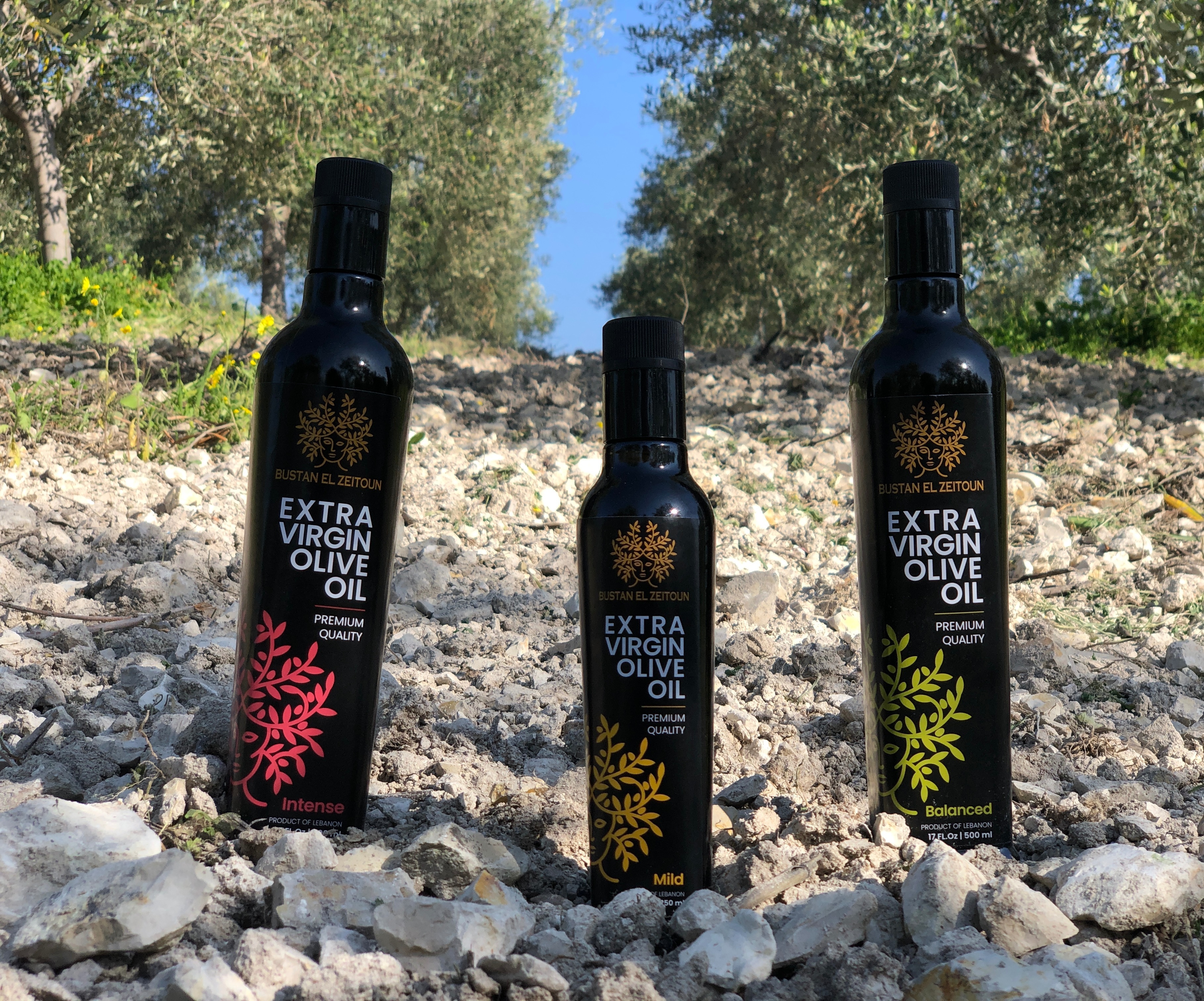 The company produces mild, balanced and intense extra virgin olive oils.