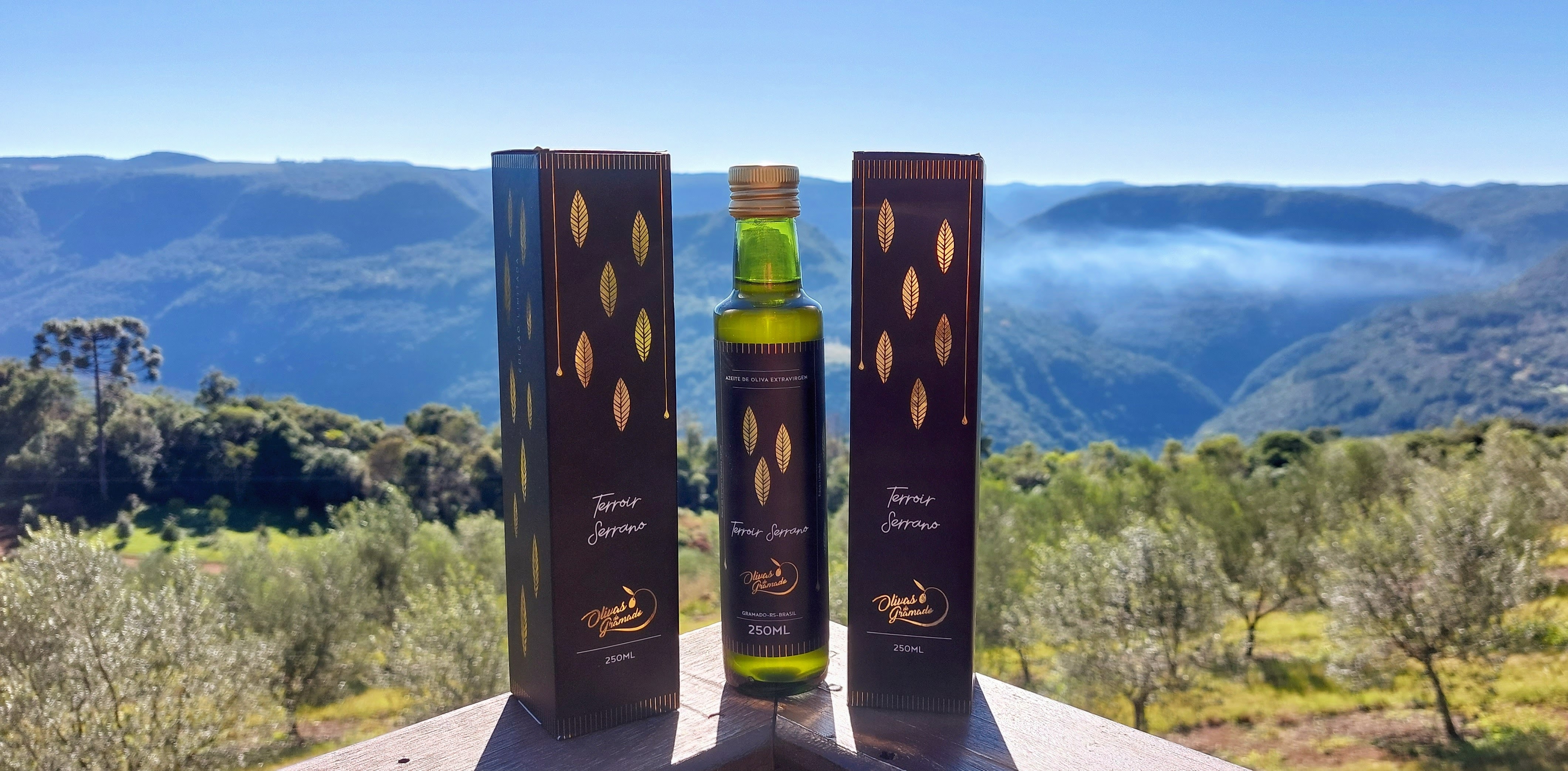 Olivas de Gramado celebrated their first-ever triumph at the NYIOOC.