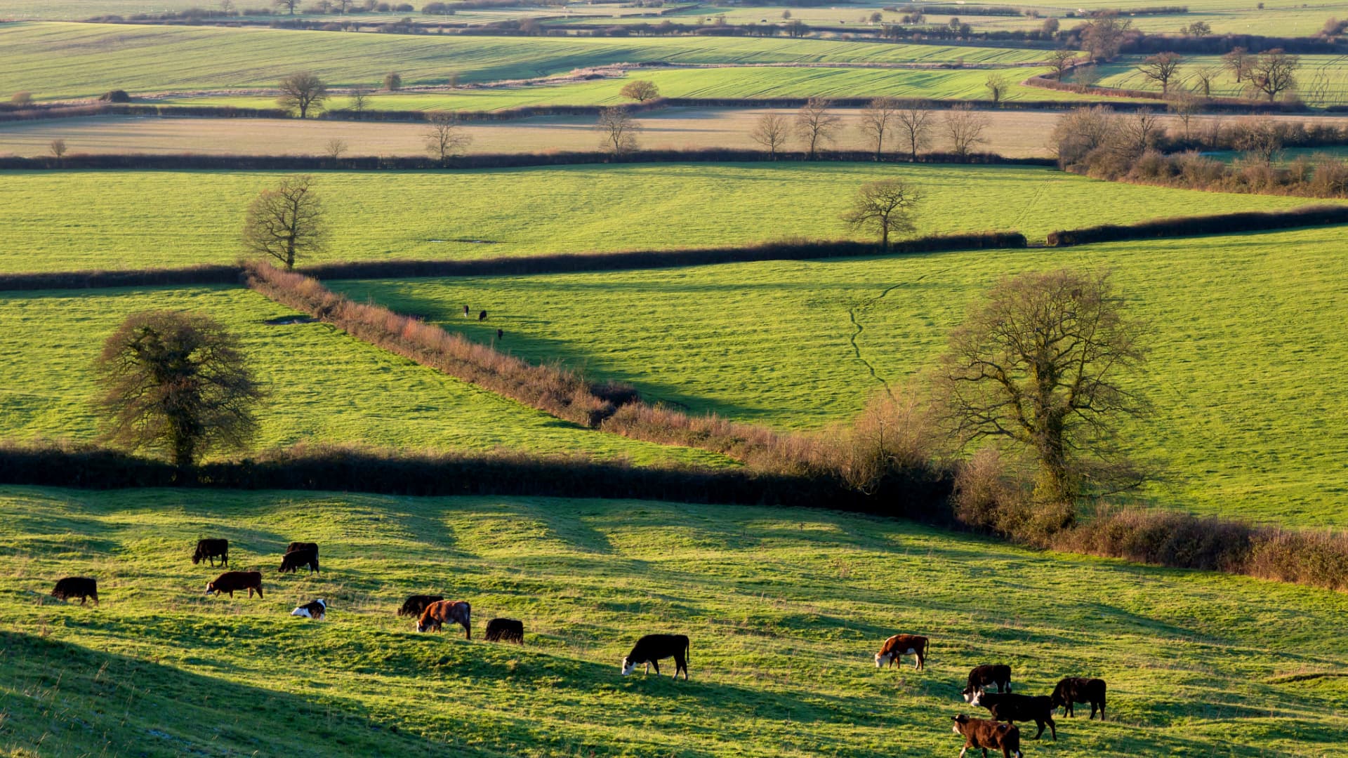 Aylesbury Vale, Buckinghamshire, UK