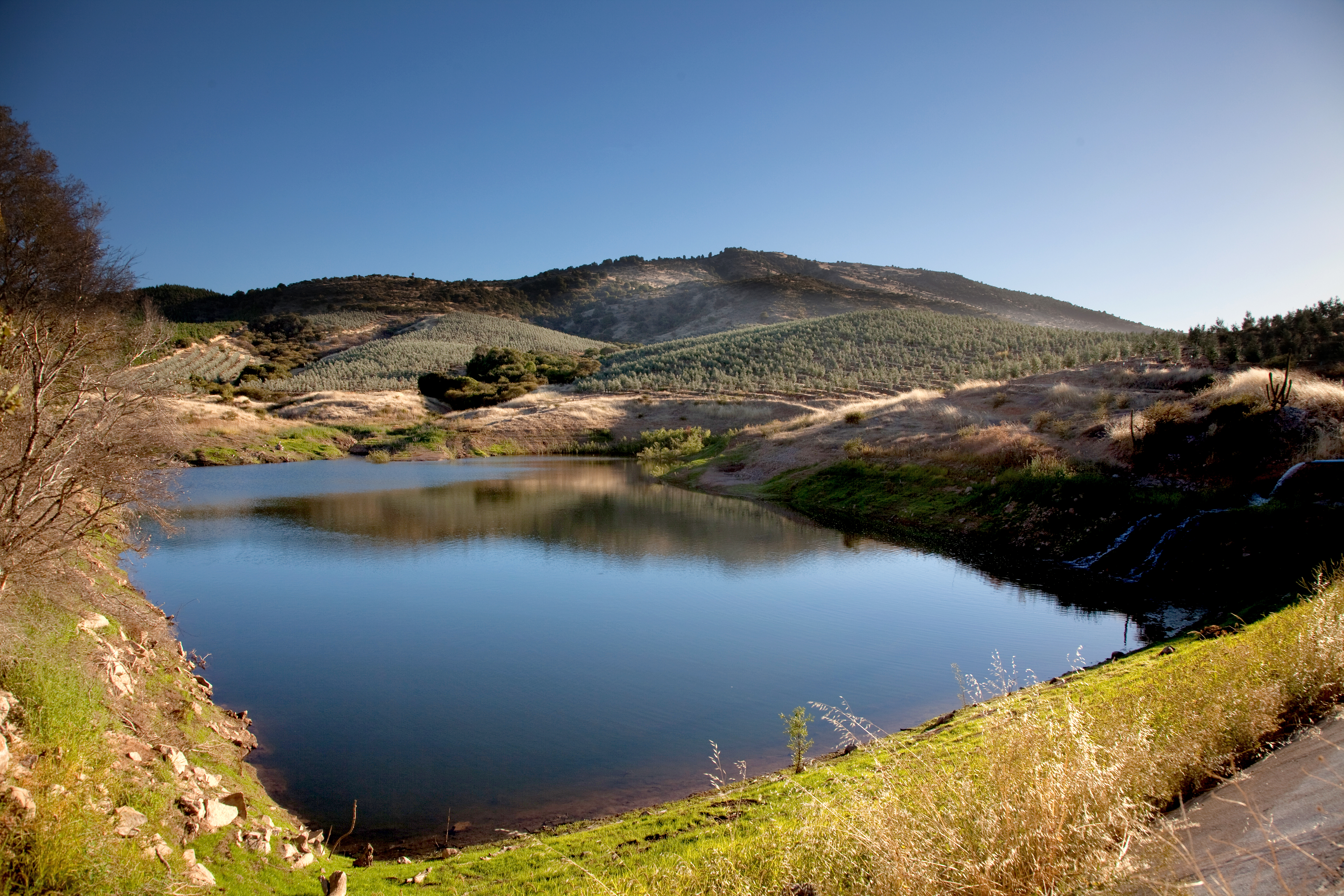 Las Doscientos is named after a reservoir near Talca, a popular destination in the Maule Valley.