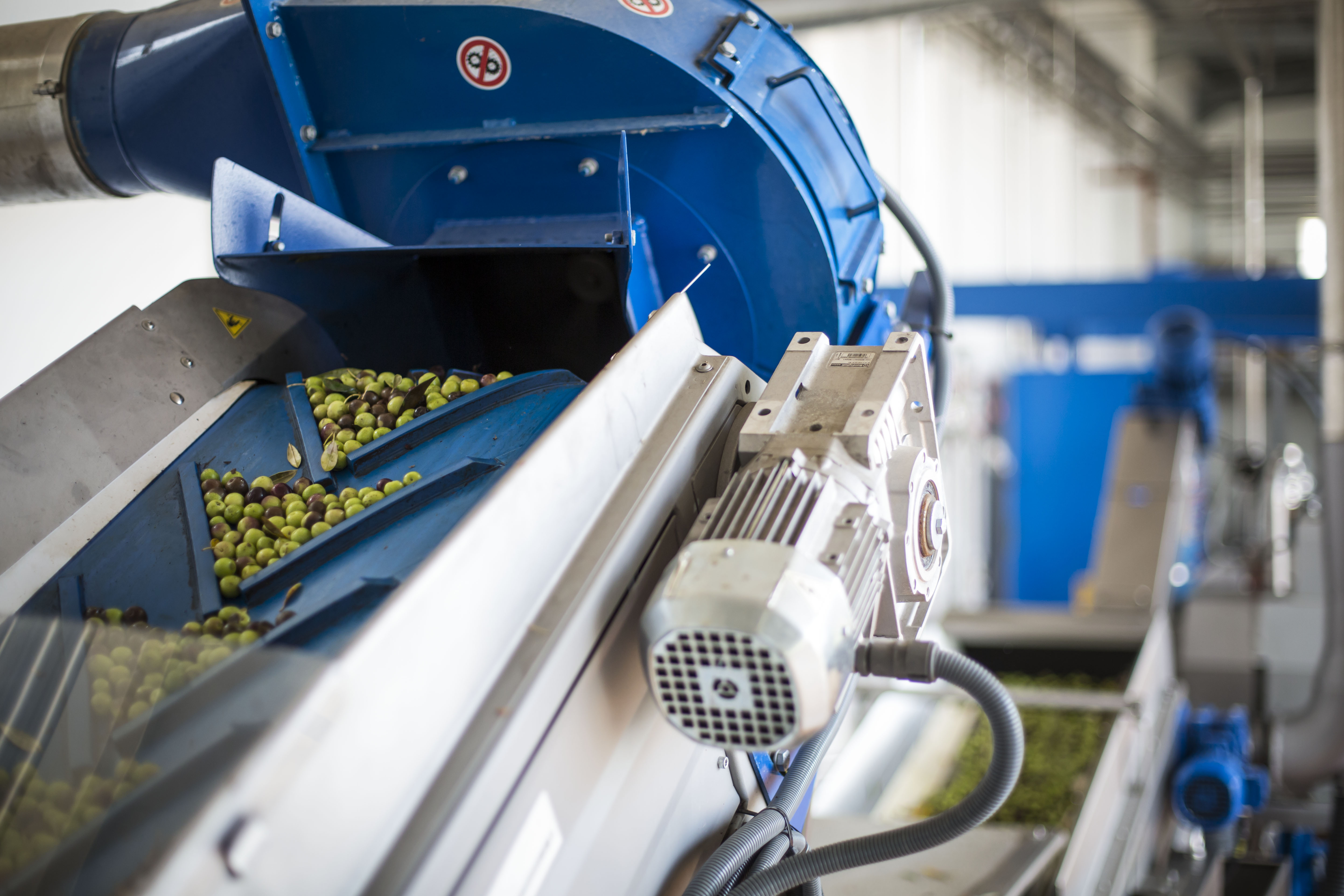 Modern milling equipment was one of the compay’s keys to success at the 2023 NYIOOC. (Photo: Babylonstoren)