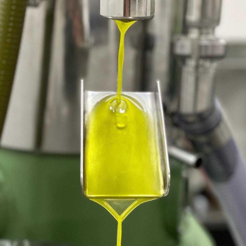 Brazil needs to produce more extra virgin olive oil at home to meet rising demand and fight fraud, according to Goelzer.