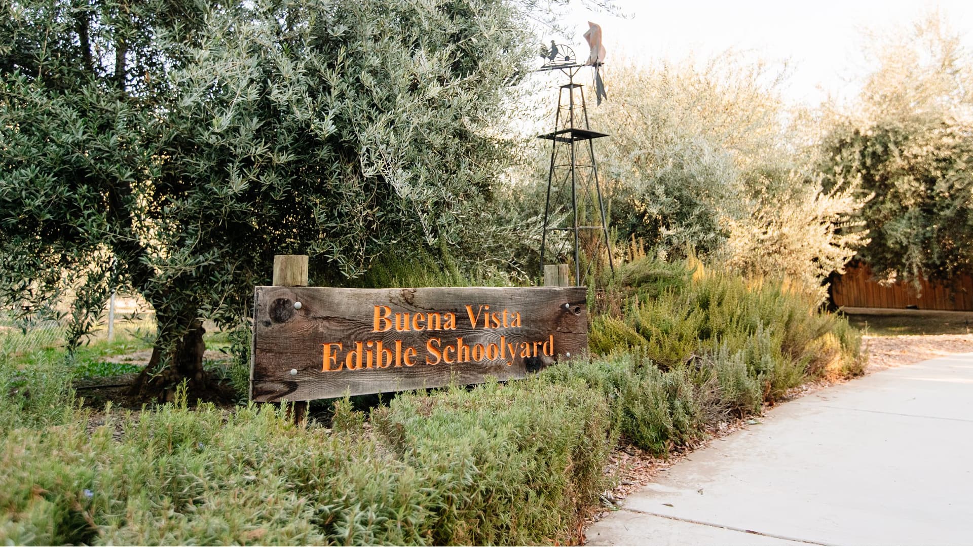 Buena Vista Edible Schoolyard serves about 1,000 students from kindergarten to sixth grade in Kern County, California.