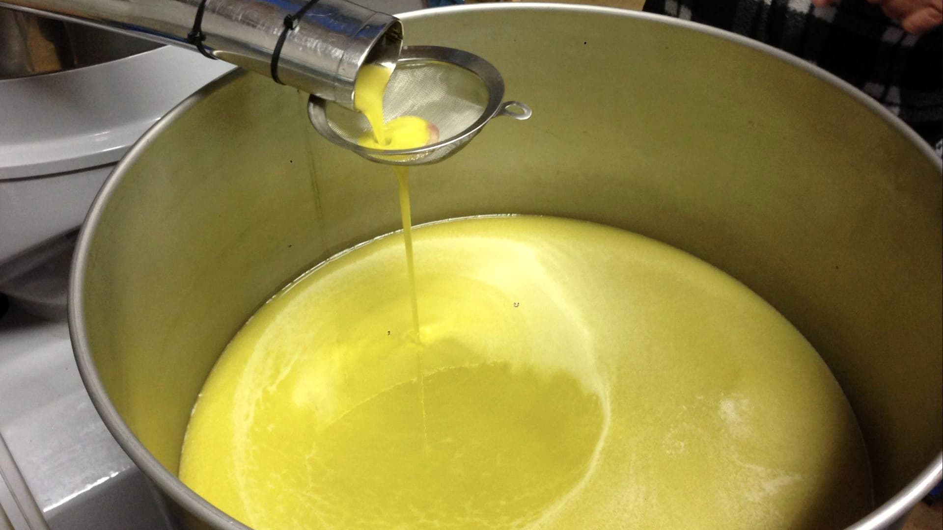 The Meislers take their carefully-selected olives to a local mill. (Photo: San Miguel Olive Farm)