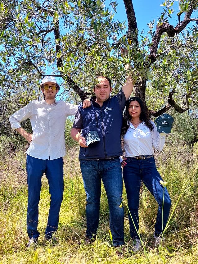 The Ager Oliva team in an olive grove in Pistoia before recovery