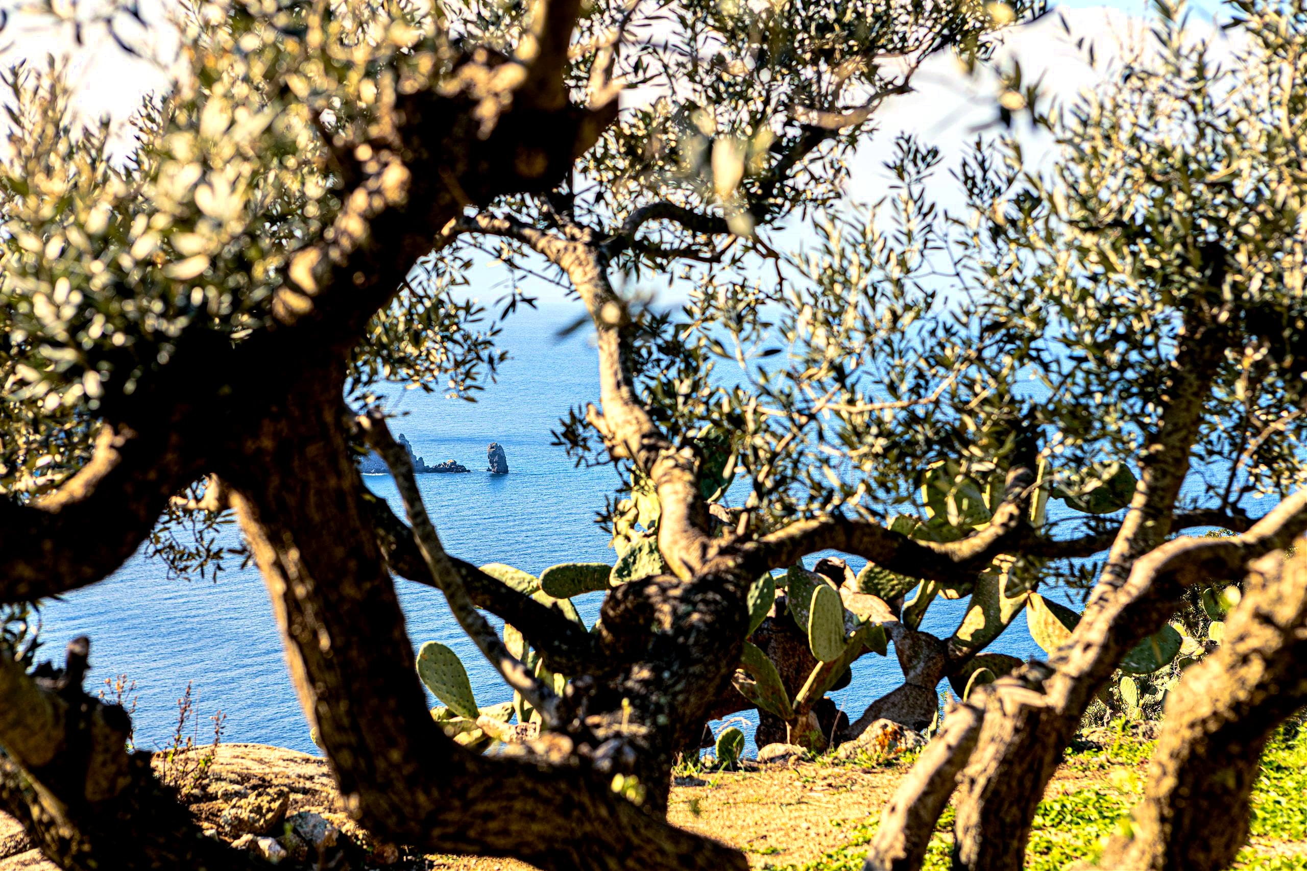 Stunning sea views turned Giglio from an agriculture-based to a tourism-based economy. (Photo by Federico Burgalassi)