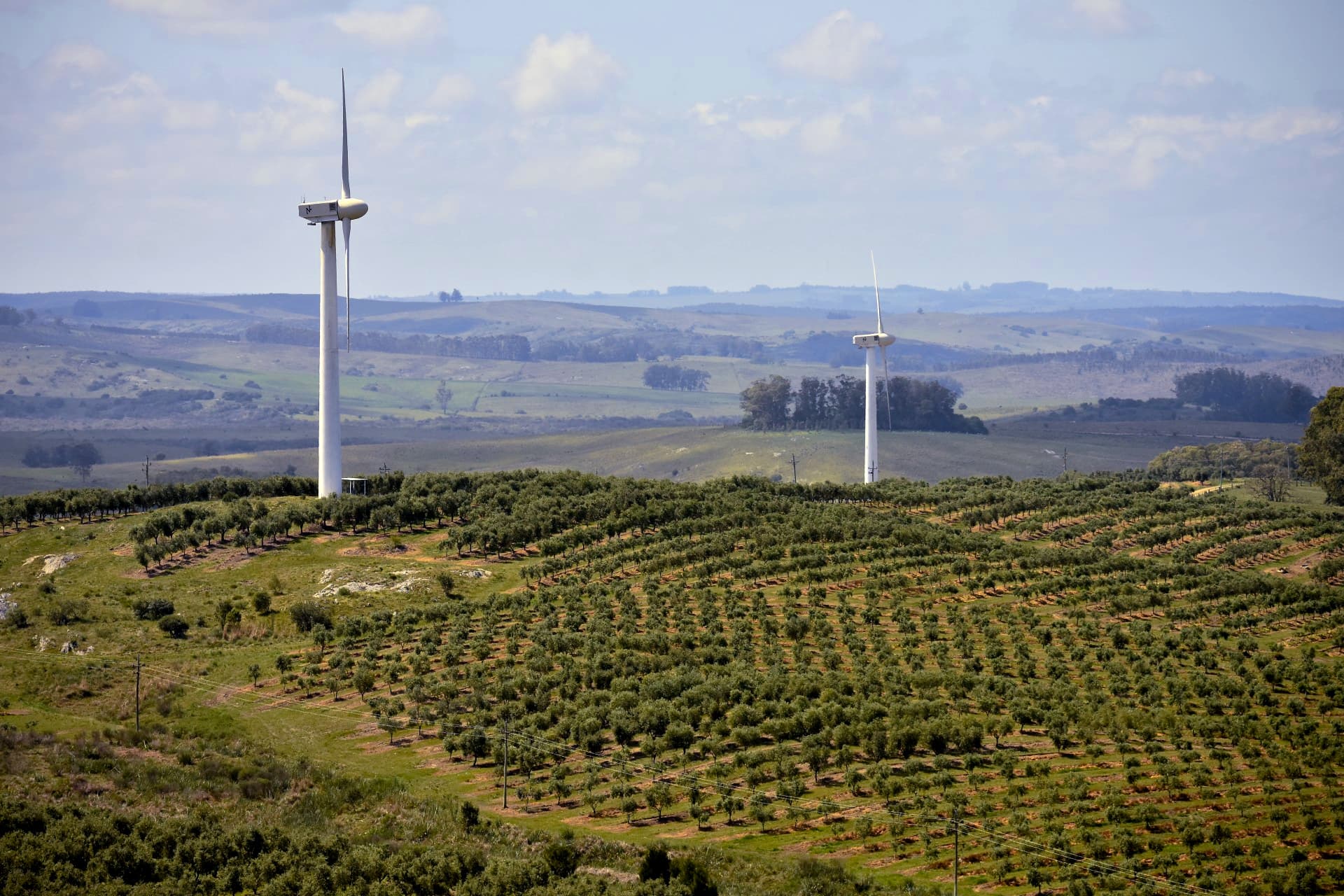 Two wind turbines stand over a green landscape with rows of trees and hills in the background.