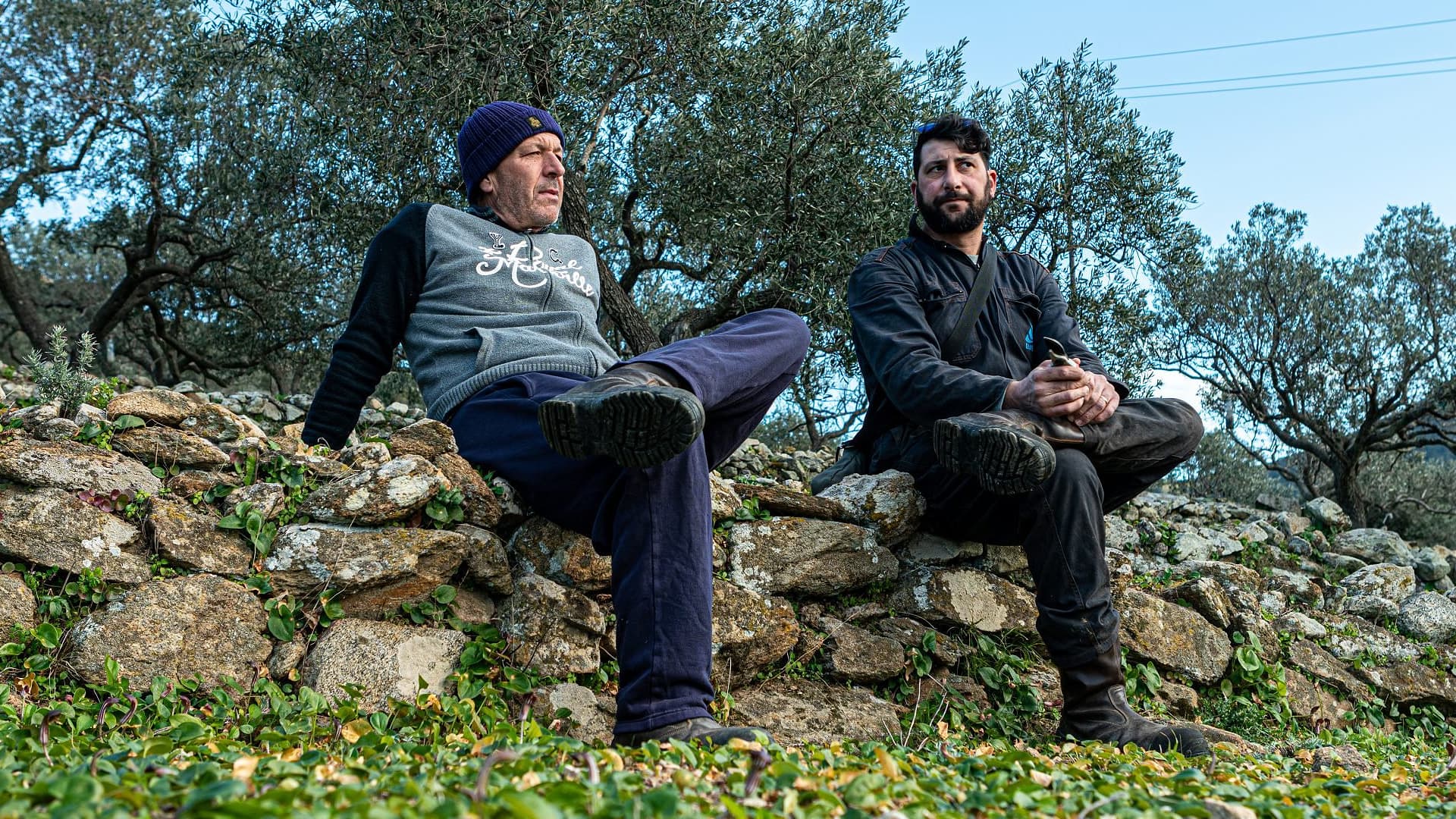 Emanuele and Francesco Bancalà in the groves of Olio Goffo (Photo by Federico Burgalassi)