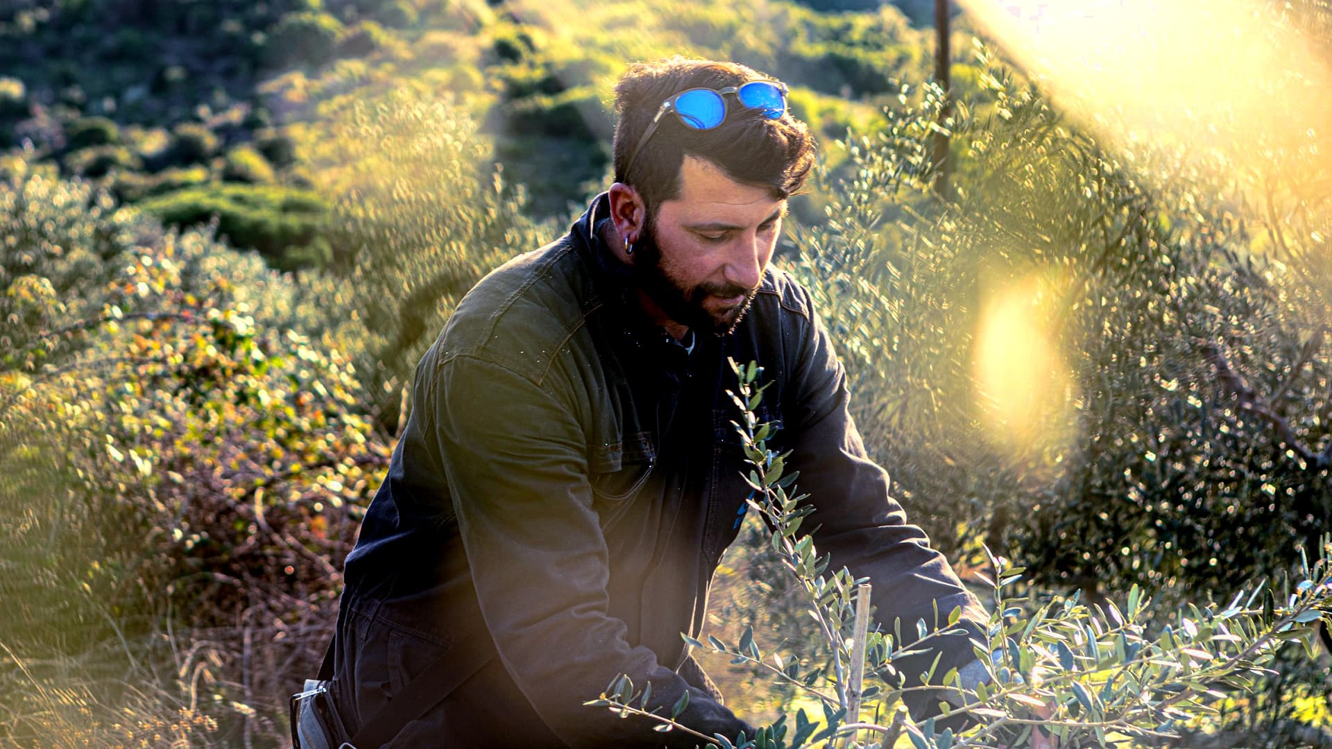 Francesco Bancalà tends to a newly-planted tree on the Tuscan island of Giglio. (Photo by Federico Burgalassi)