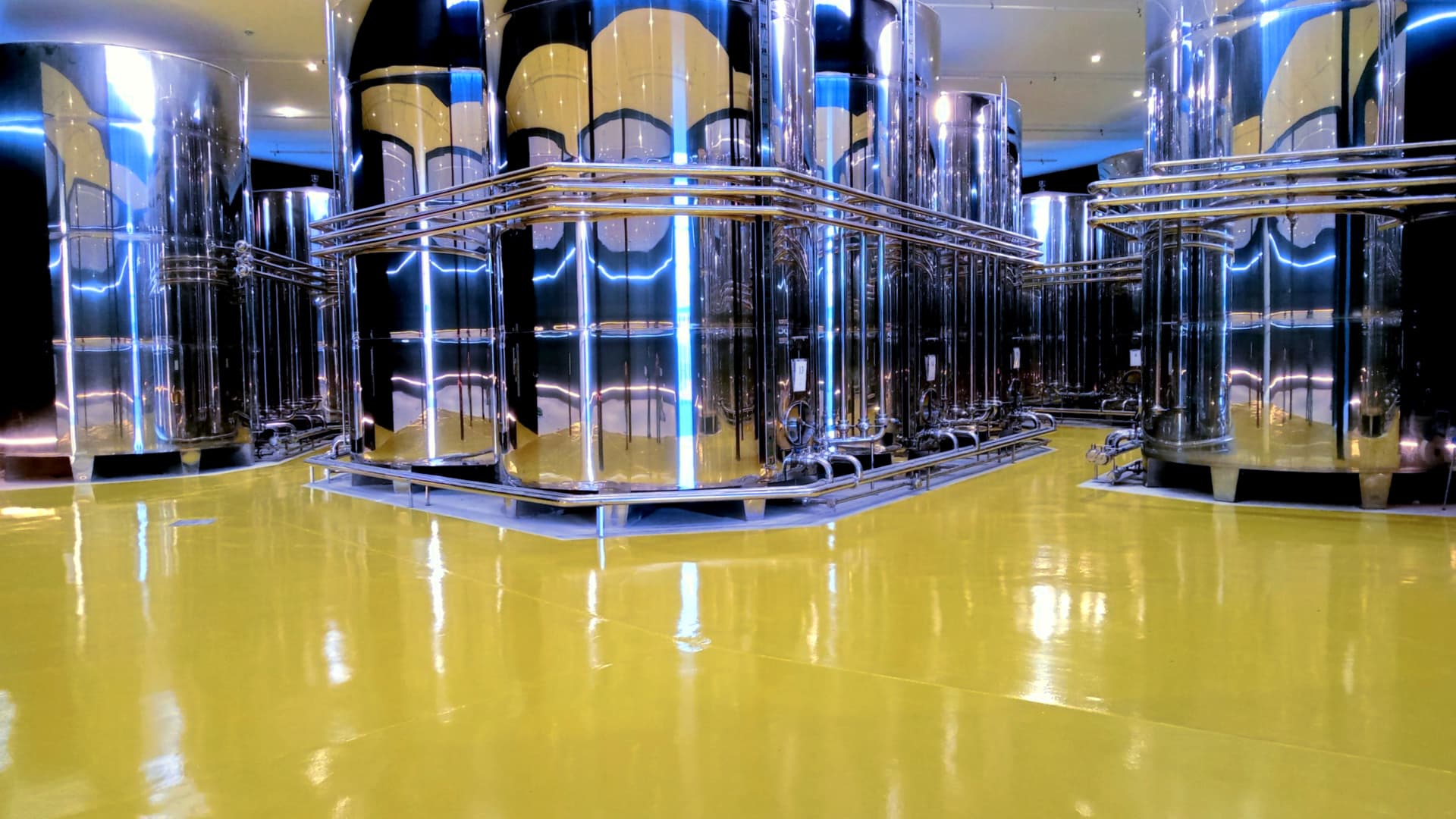 Guillén believes Spain is well-suited to expand production due to its geography, climate and investments in modern mills. (Photo: Acesur)