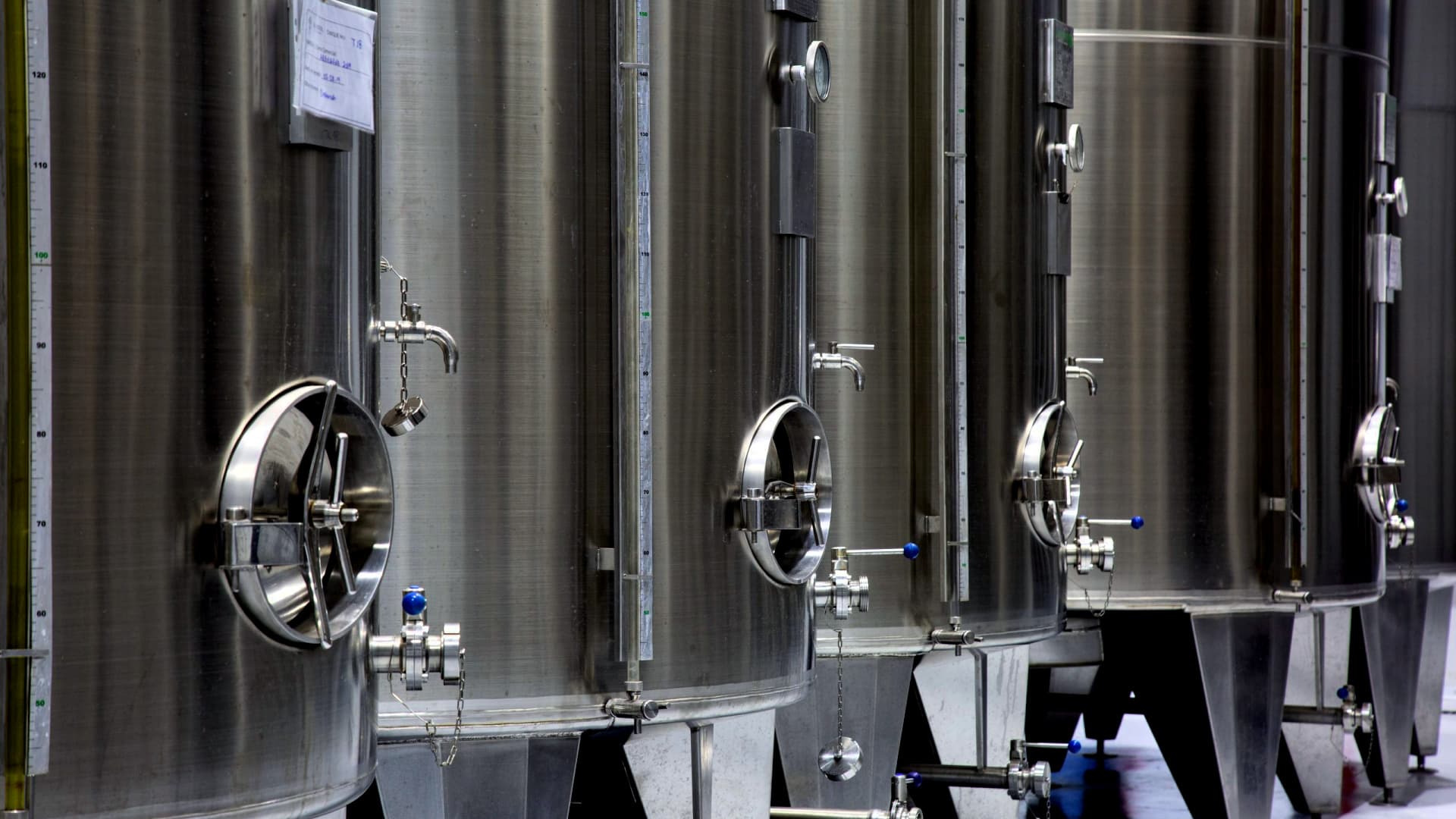 El Mistol earned two awards at the 2023 NYIOOC for blends made with Picual and Arbequina olives. (Photo: El Mistol)