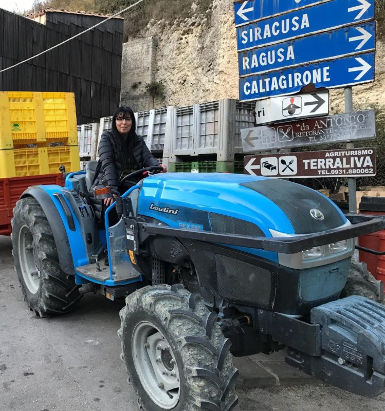 Vernèra harvests its centenarian and millenary trees by hand to preserve them. (Photo: Vernèra)