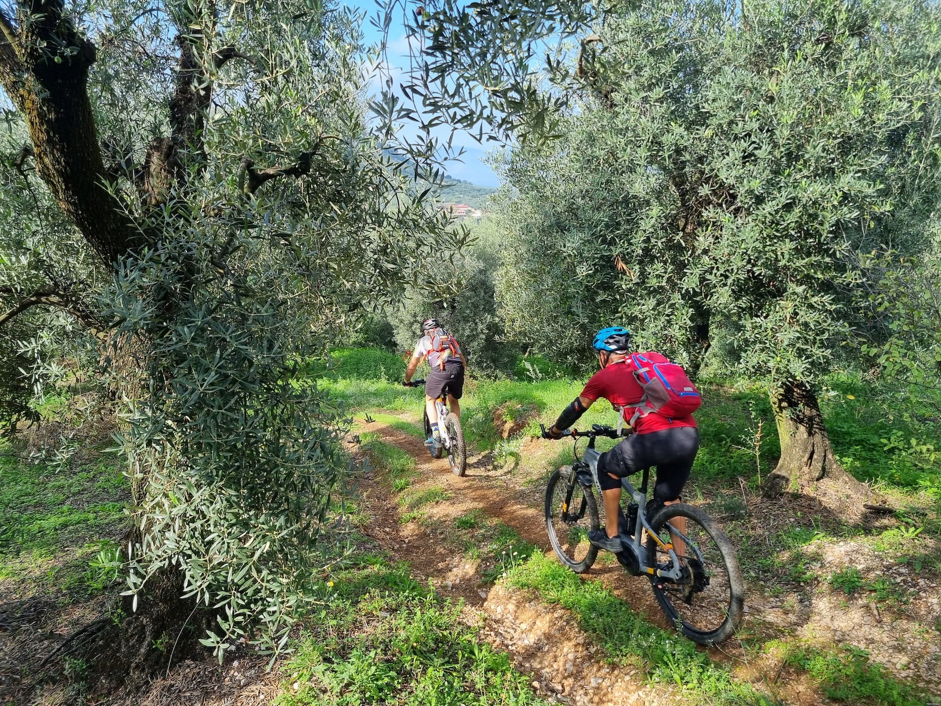 Cyclists enjoy the scenery of the Itri olive grove. (Photo: Maremoto Outdoor Sports)