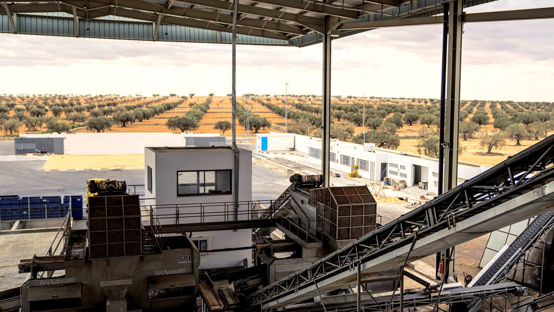 The CHO Group can mill 1,200 tons of olive oil per day during the harvest. (Photo: CHO Group)