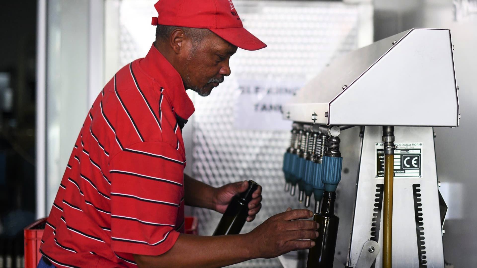 Load shedding complicates olive oil production in South Africa, forcing producers to invest in generators or renewable energy. (Photo: Tobin Jones)