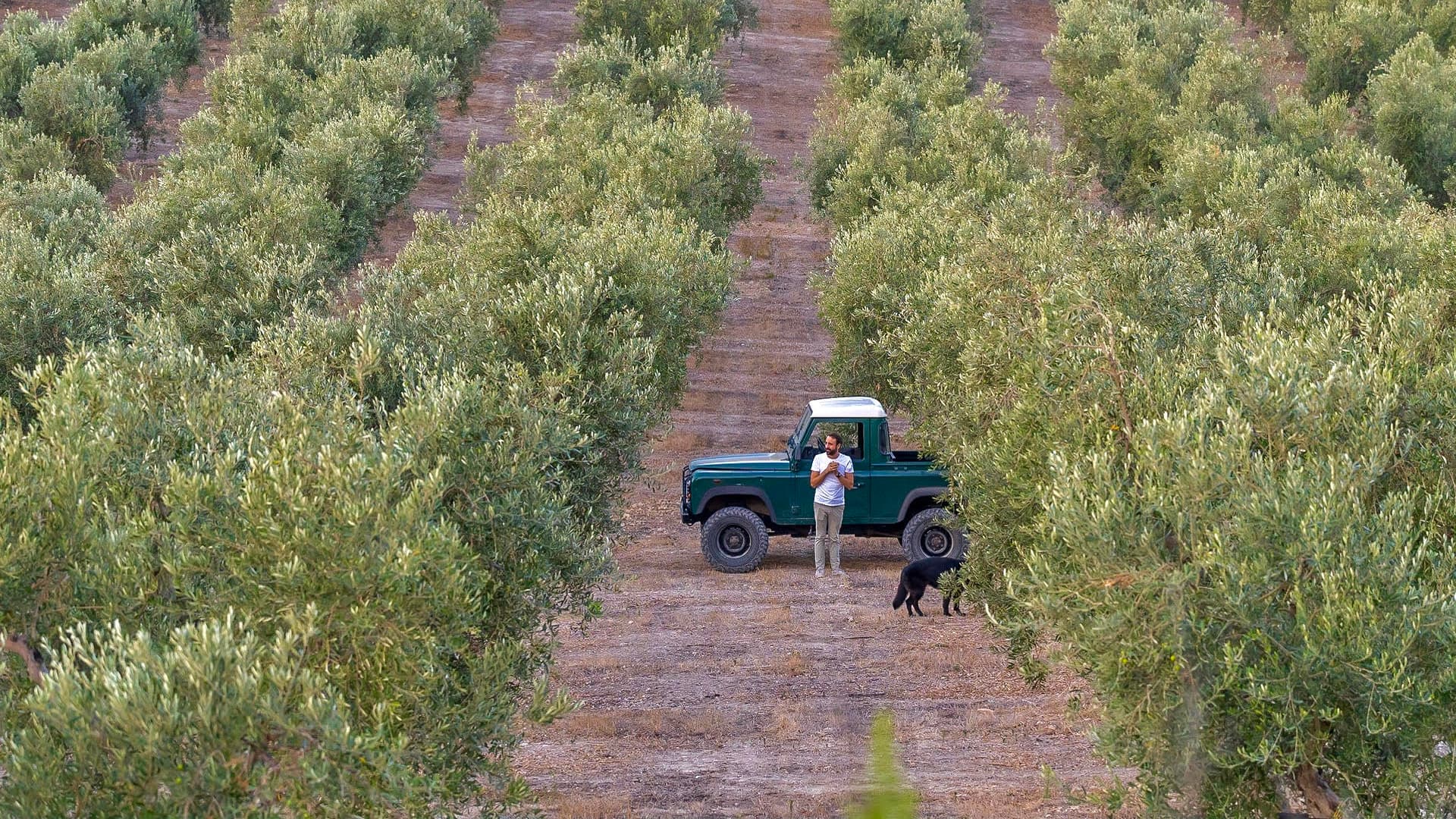 Gabriele Di Vincenzo in the groves of Mandranova
