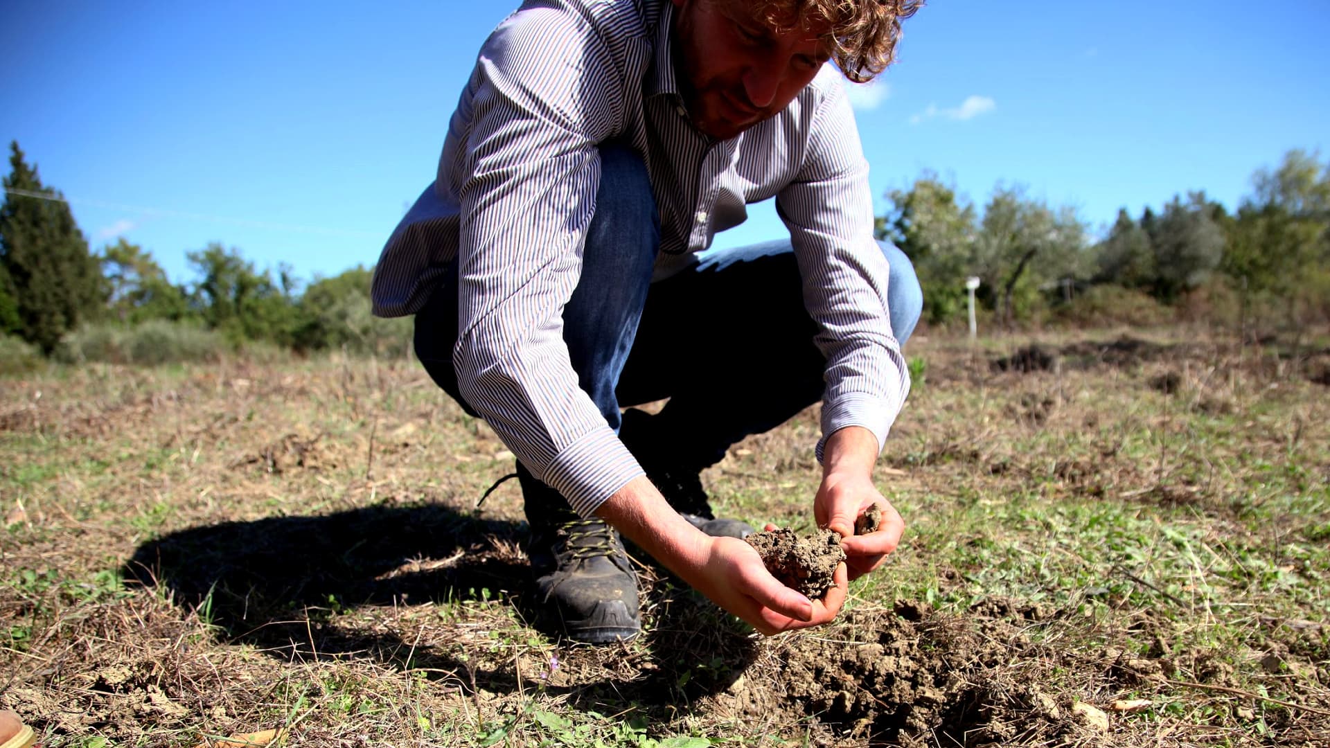 Despite the many challenges faced by Tuscan producers this year, Frantoio Pruneti is bullish about the future with an effort to plant 12,000 new trees underway. (Photo: Frantoio Pruneti)