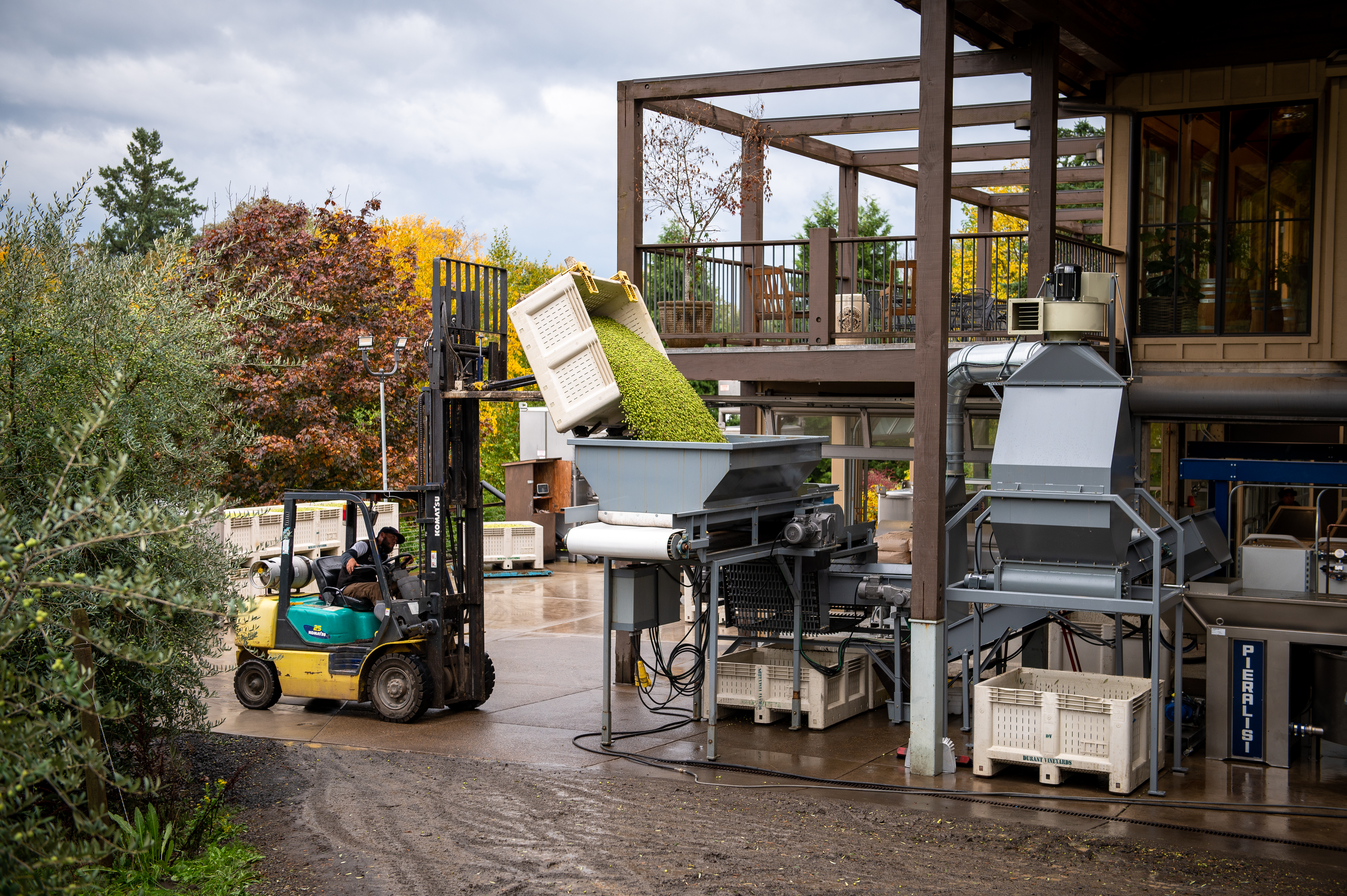 Along with confronting freezing temperatures, Paul Durant said the team had to get used to new state-of-the-art Pieralisi milling equipment. (Photo: Durant Olive Mill)