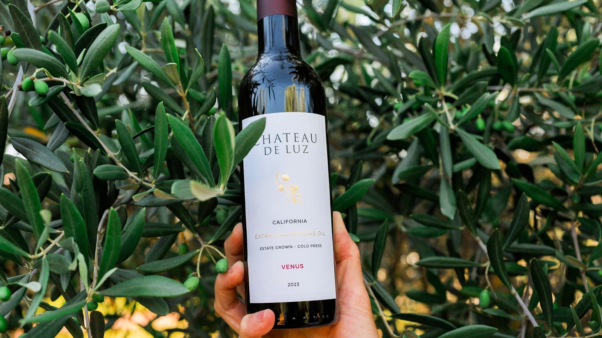 The elegant packaging behind the company’s efforts to market its boutique extra virgin olive oil. (Photo: Sharisse Rowan Photography)