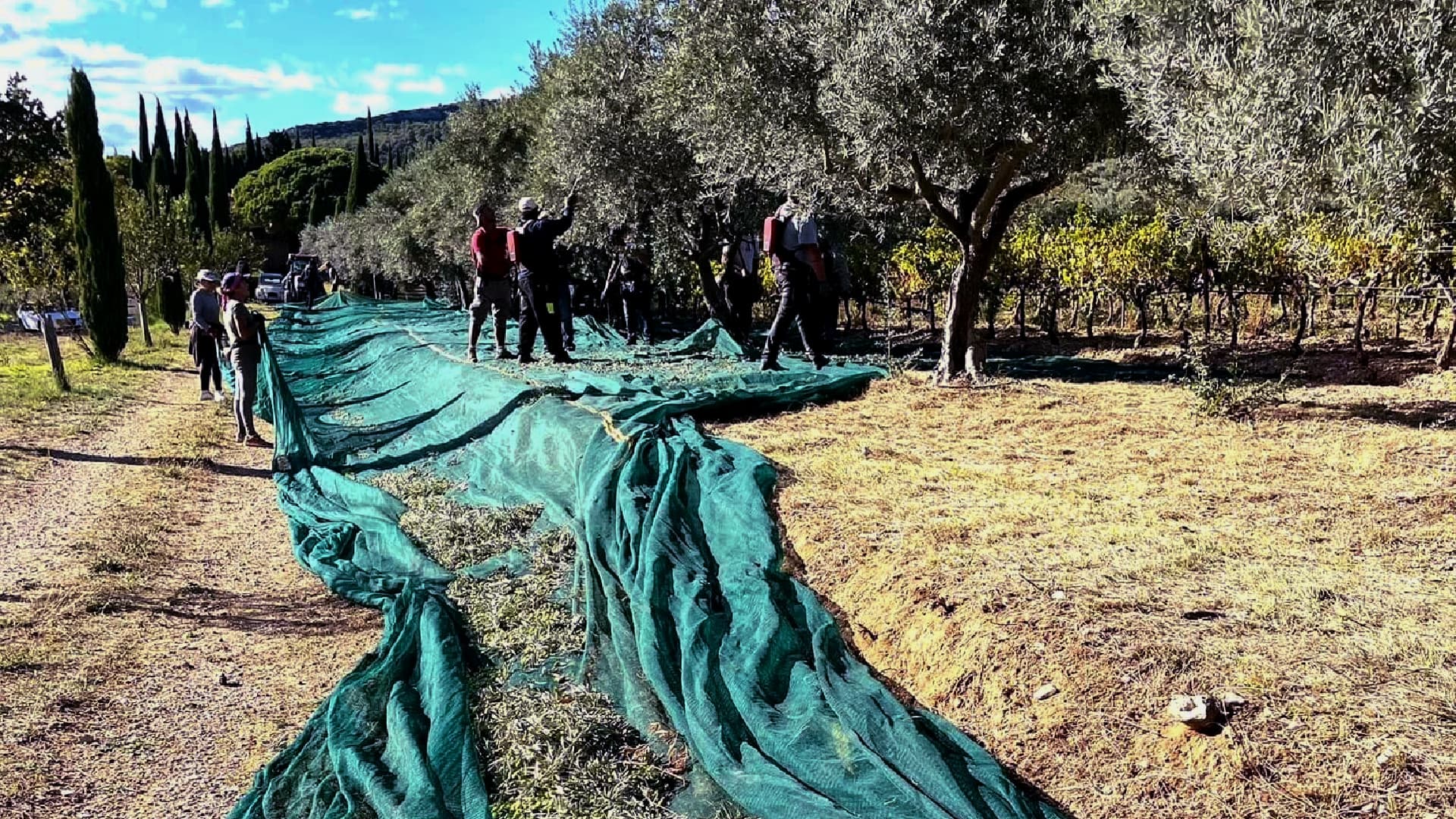 Domaine de Gerbaud celebrated a winning return to the 2024 NYIOOC. (Photo: Domaine de Gerbaud)