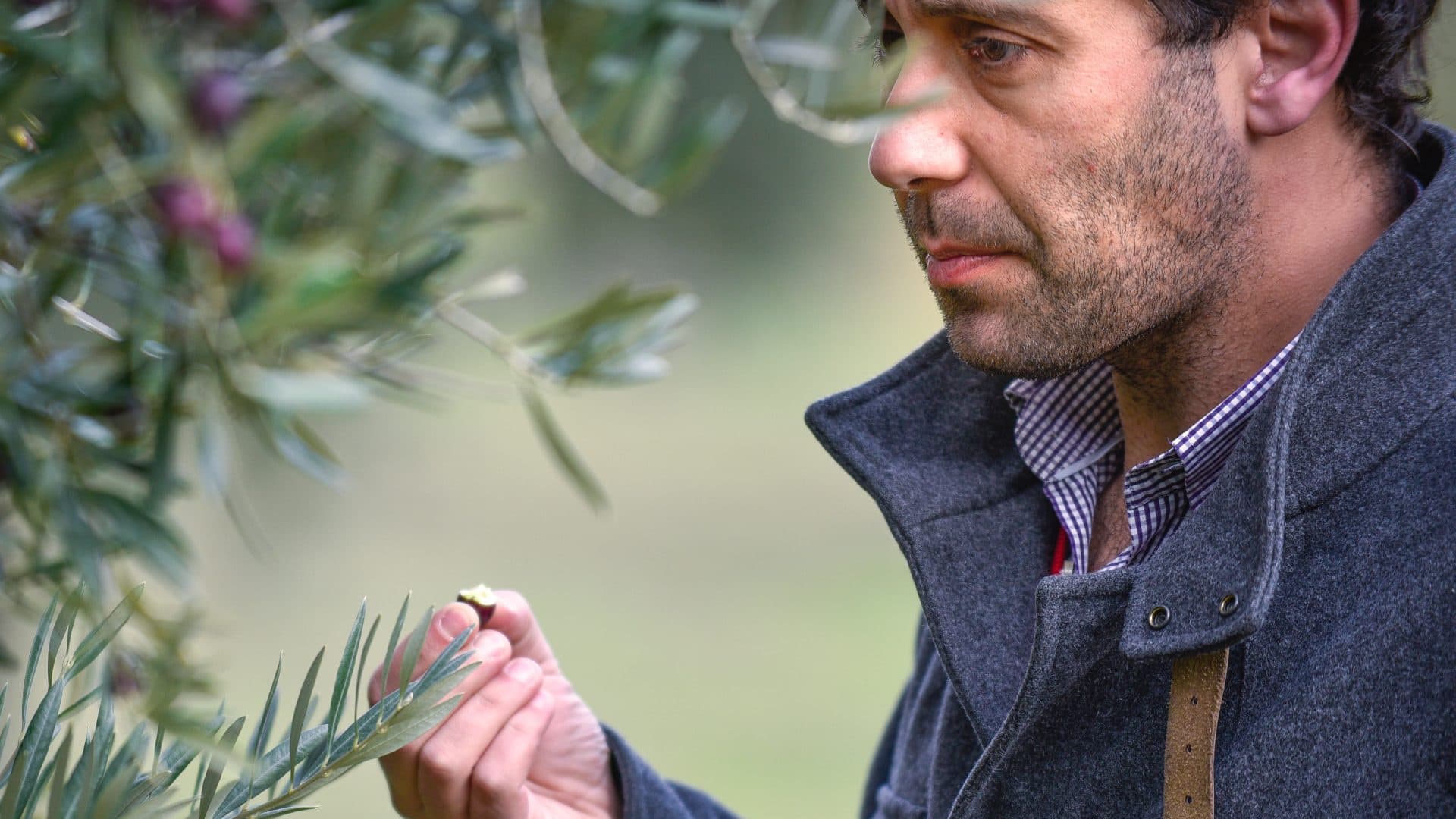 António Pavão said success at the NYIOOC elevates the profile of Portugal as an olive oil producer on the world stage. (Photo: Casa de Santo Amaro)