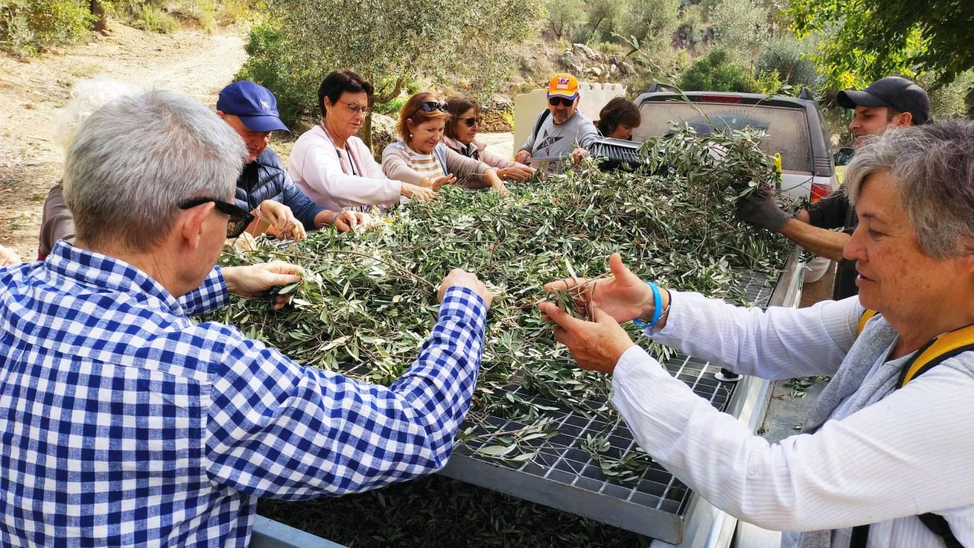 The producers behind Oli Cometes practice biodynamic farming, which goes a step beyond organic farming practices. (Photo: Oli Cometes)