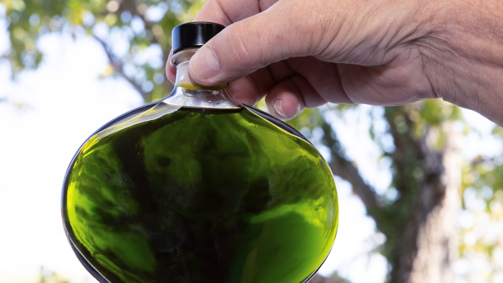 Kukulin’s high-phenolic extra virgin olive oil