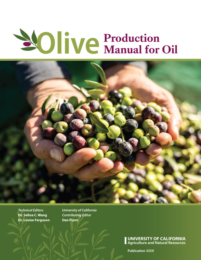 The technical editors said the book can help olive growers become more efficient and resilient.