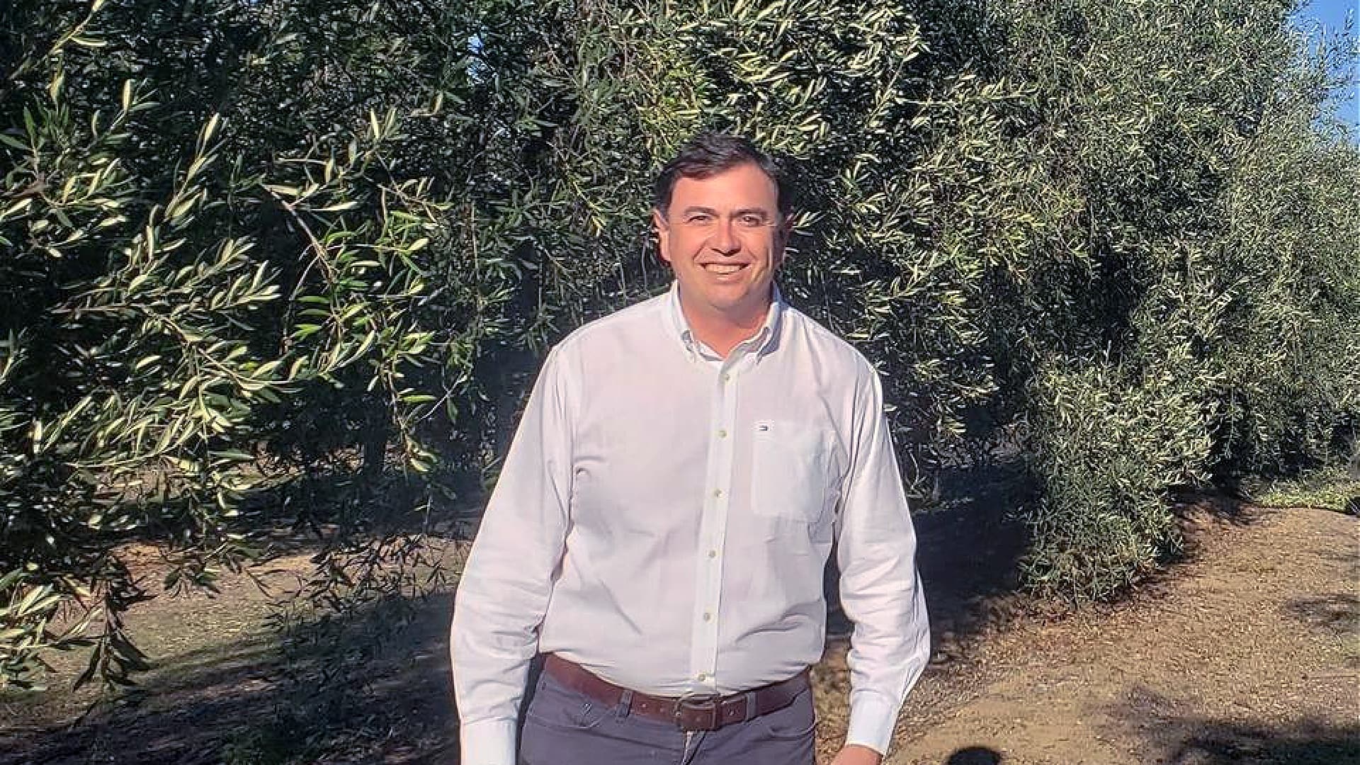 Fernando Carrasco Spano harvests early, sacrificing quantity for quality. (Photo: Olivos de Ruta del Sol)