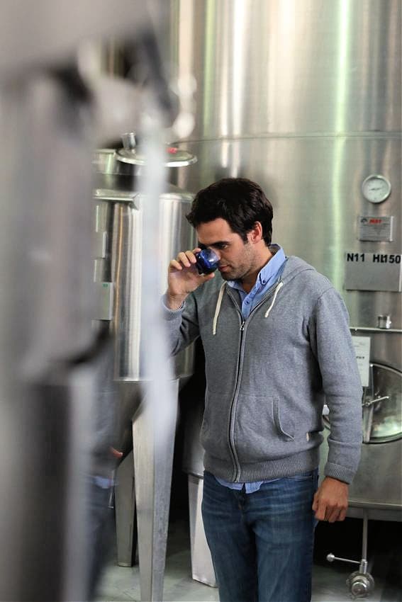 Familia Zuccardi focuses on poducing extar virgin olive oil from the local Arauco variety. (Photo Familia Zuccardi)