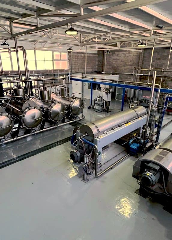 While the Arauco variety poses unique challenges, Zuccardi said the resulting olive oil is worth the extra work. (Photo: Familia Zuccardi)