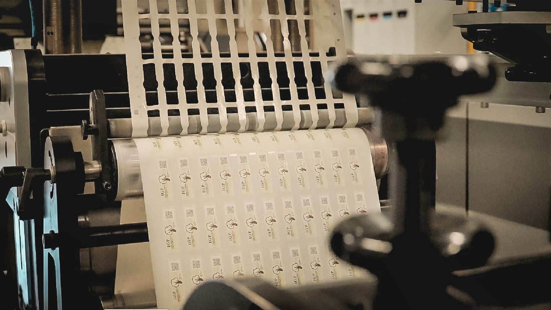 Production of labels for the PGI Olio di Calabria (Photo: Polygraphic Institute and State Mint)