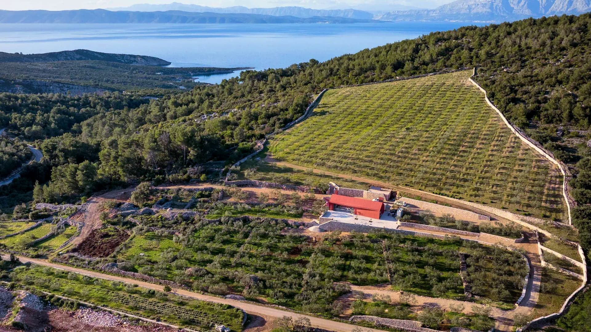 Producers on the island of Hvar blamed drought for their challenging harvest. (Photo: OPG Seca)
