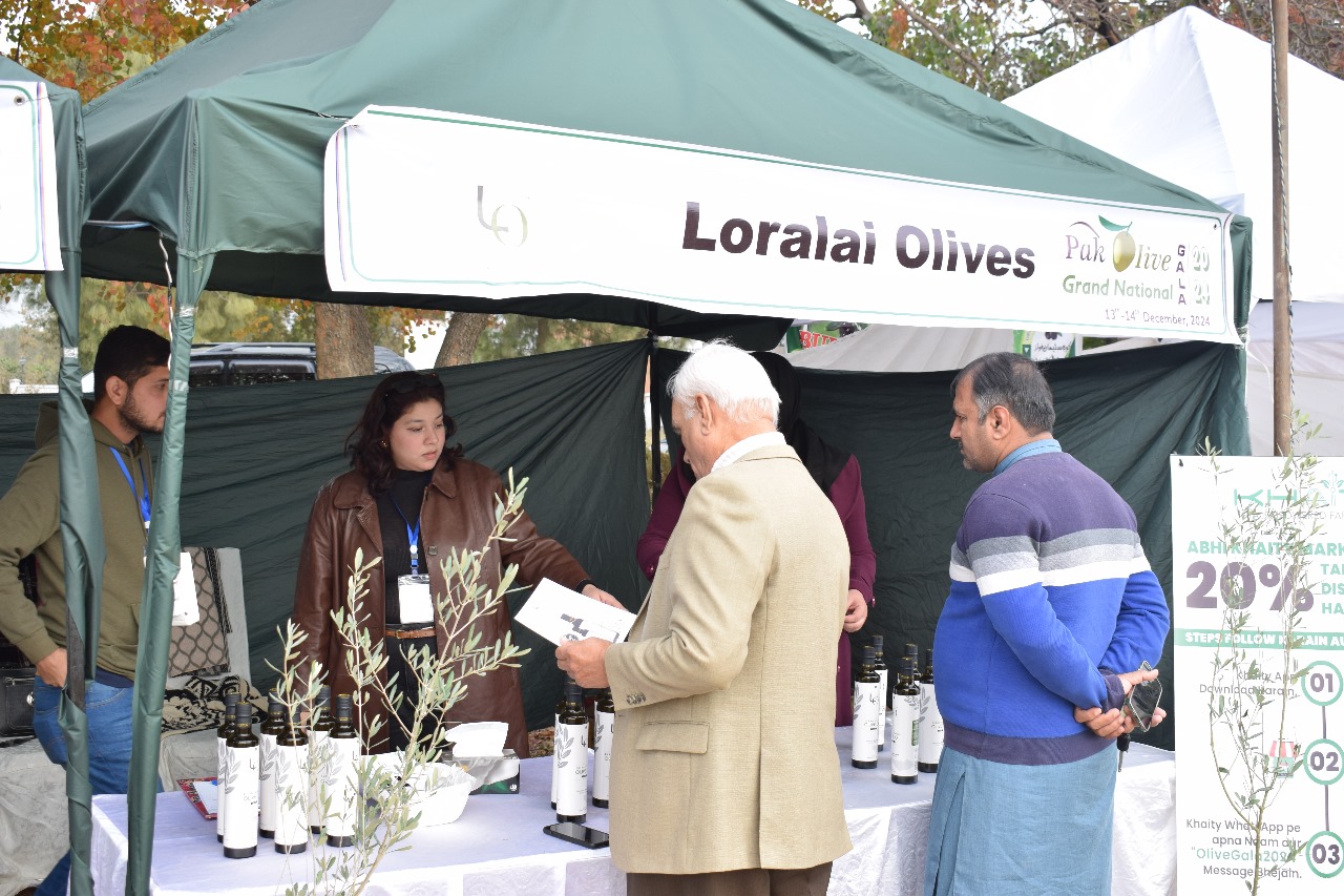 Loralai Olives is working to export its Pakistani extra virgin olive oil. (Photo: Olive Gala Festival)