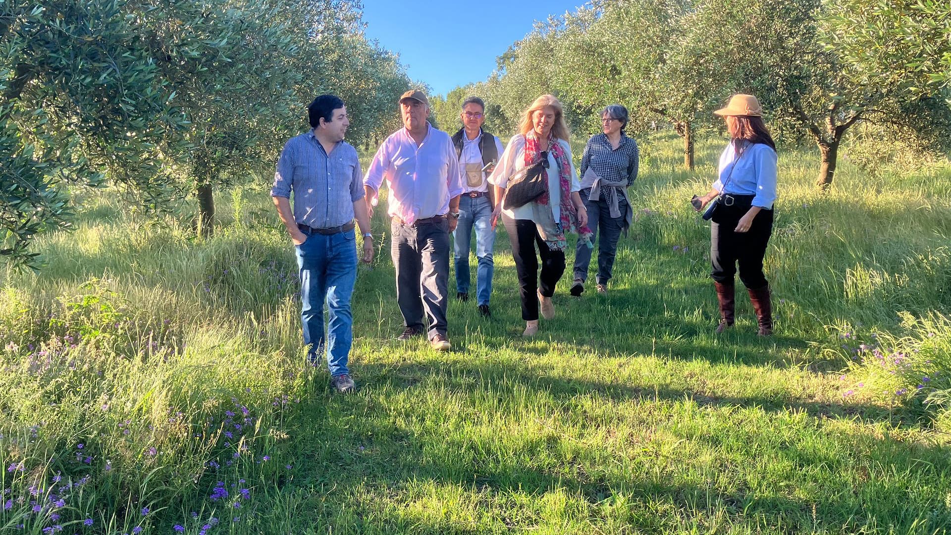 Saccarello and her agronomist (left) inspect the olive groves with a delegation from the International Olive Council and Uruguayan Olive Association (Asolur). (Photo: Pique Roto)