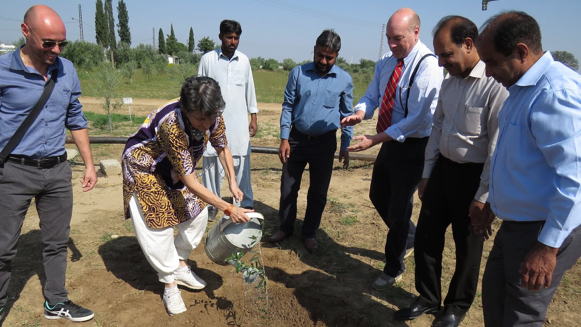 Domenico Bruzzone (third from right) and Saccarello (second from left) planting olive trees at the experimental Bari Chacwal station in Pakistan in 2014. (Photo: Pique Roto)