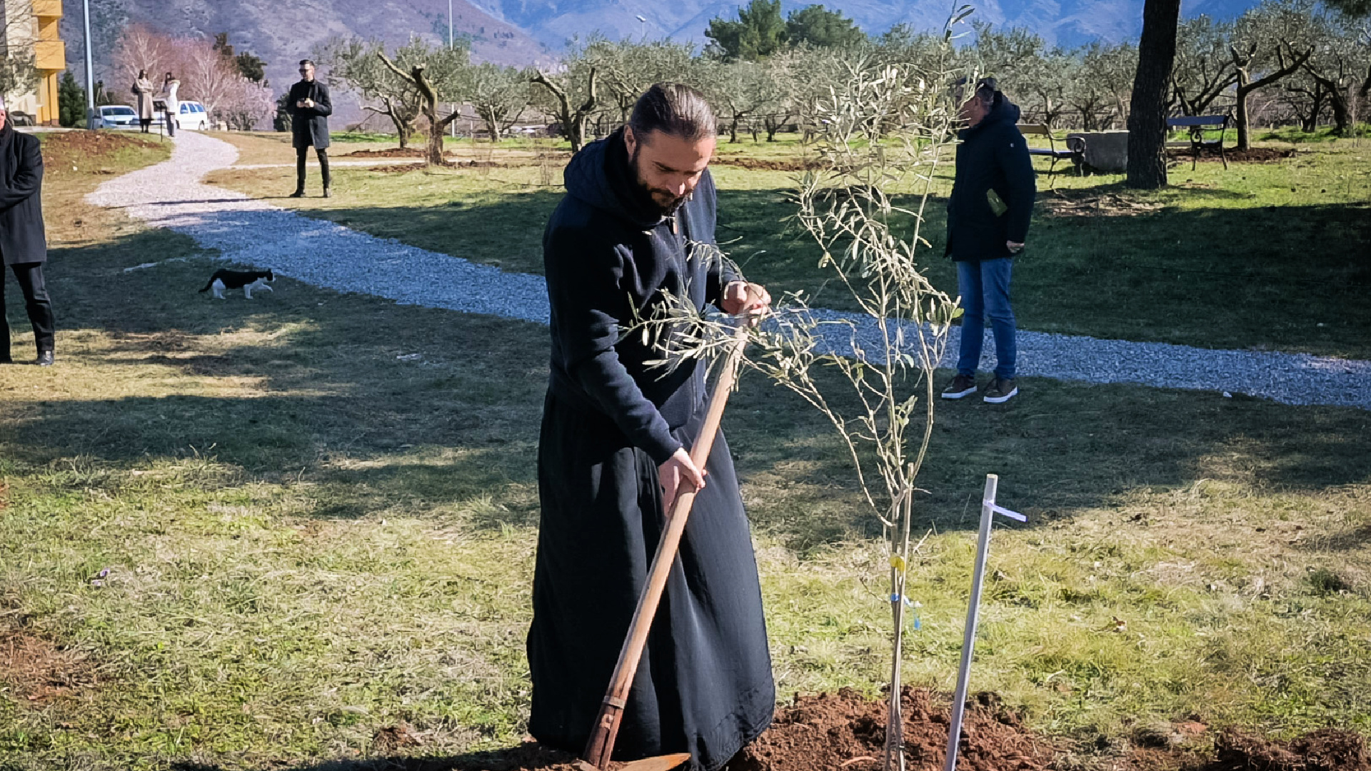 The Leucocarpa seedling was planted by Porphyry from the Orthodox monastery Tvrdoš
