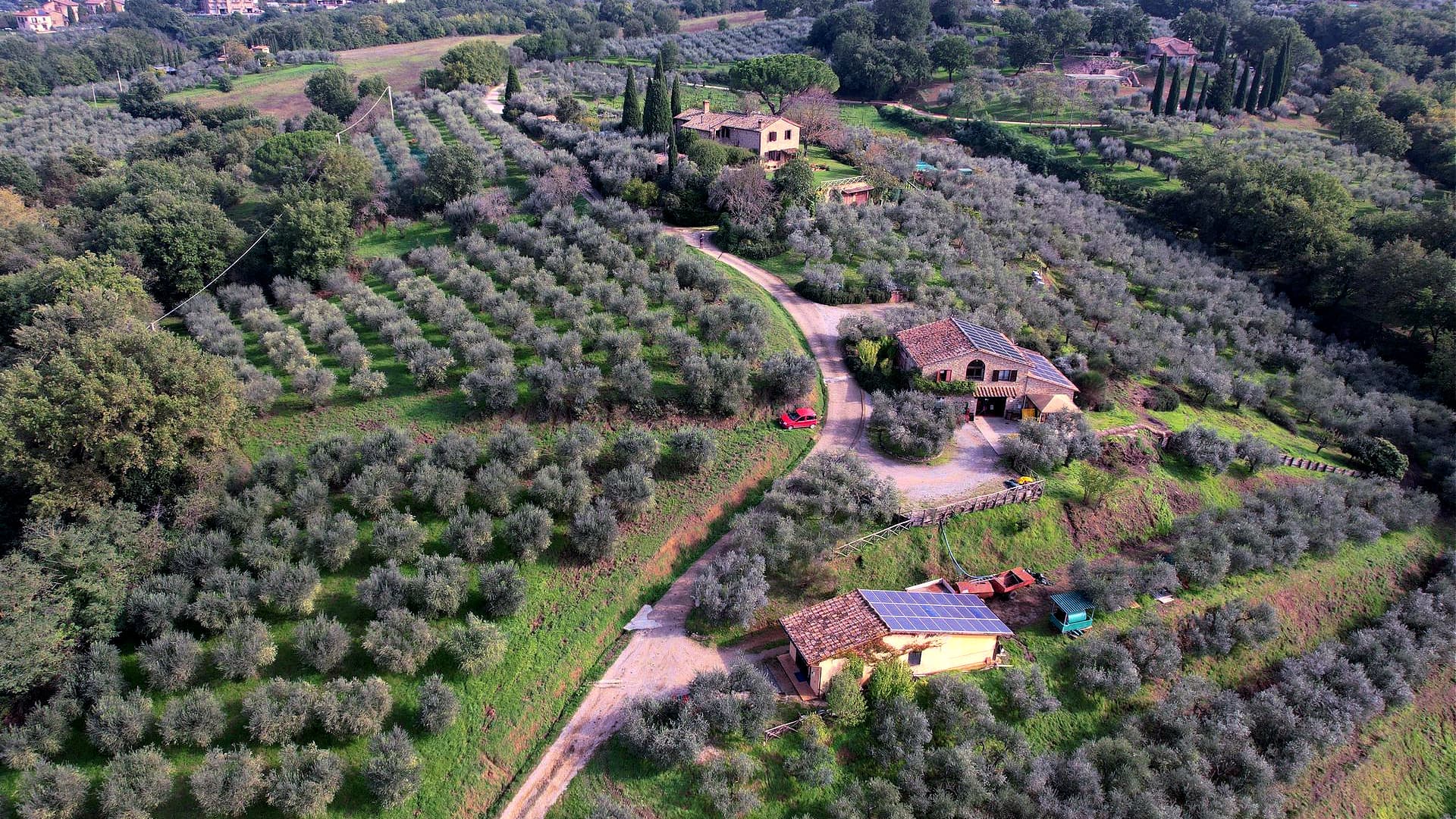 Fontanaro Estate