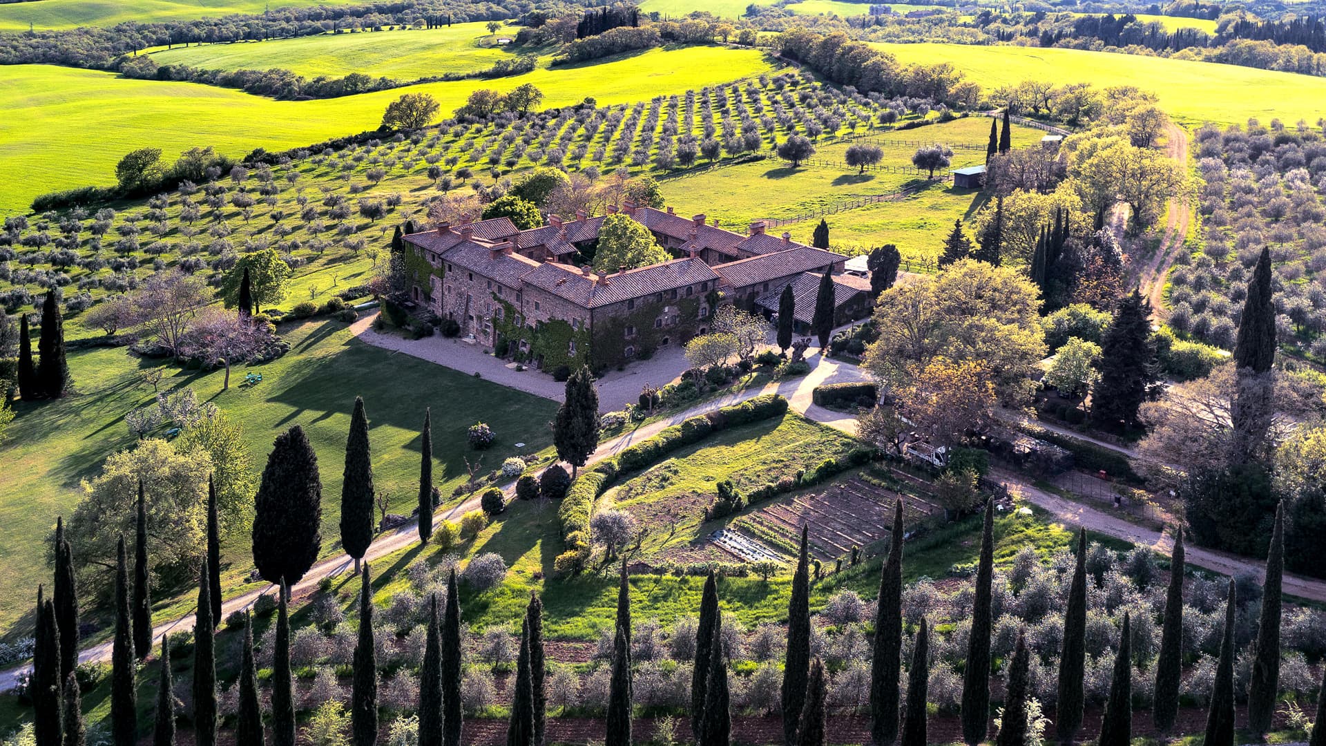 Chiarentana di Donata Origo