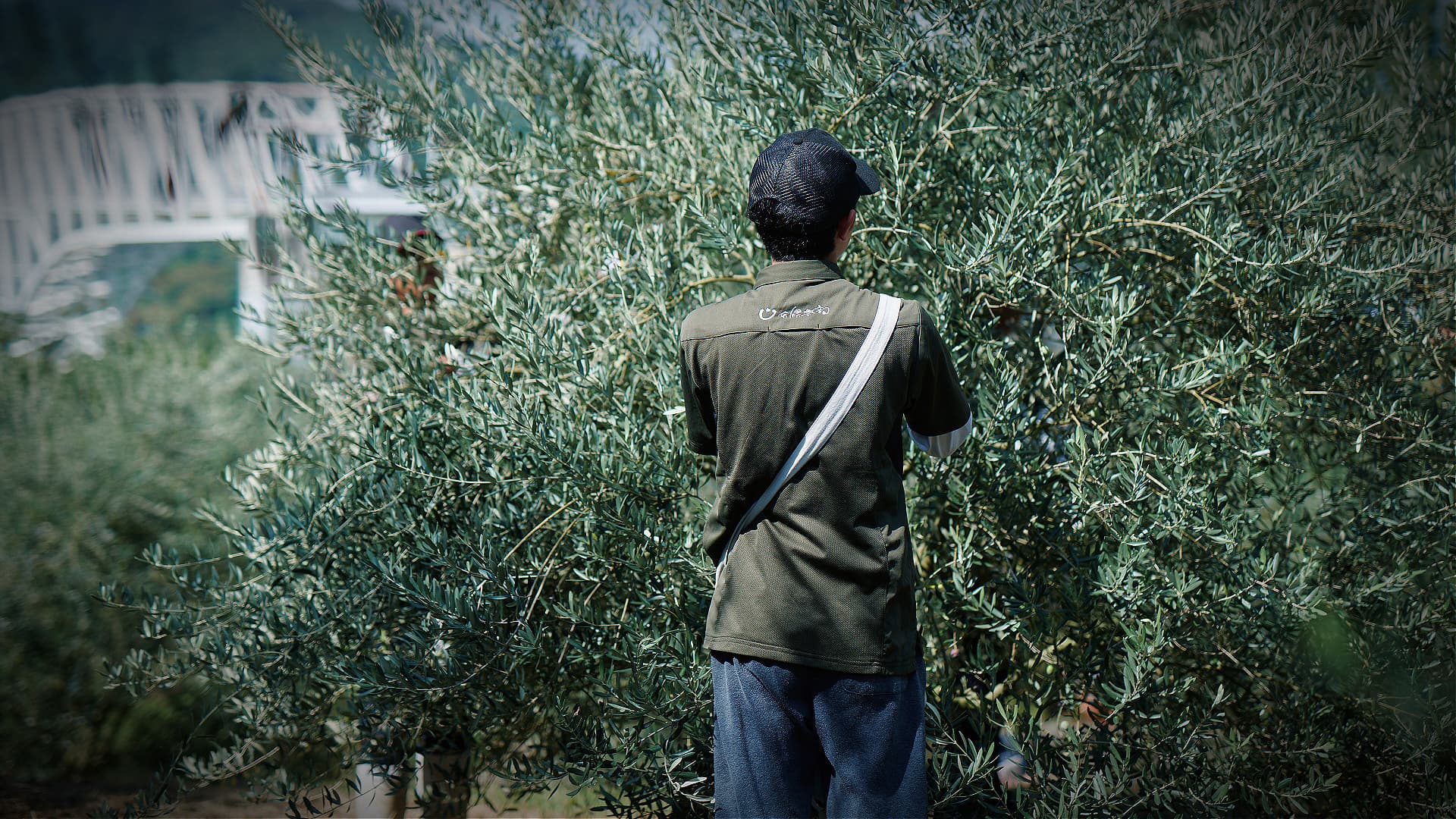 YamamotoClub focuses on organic agricultural practices and preventing farmland from being abandoned. (Photo: YamamtoClub)