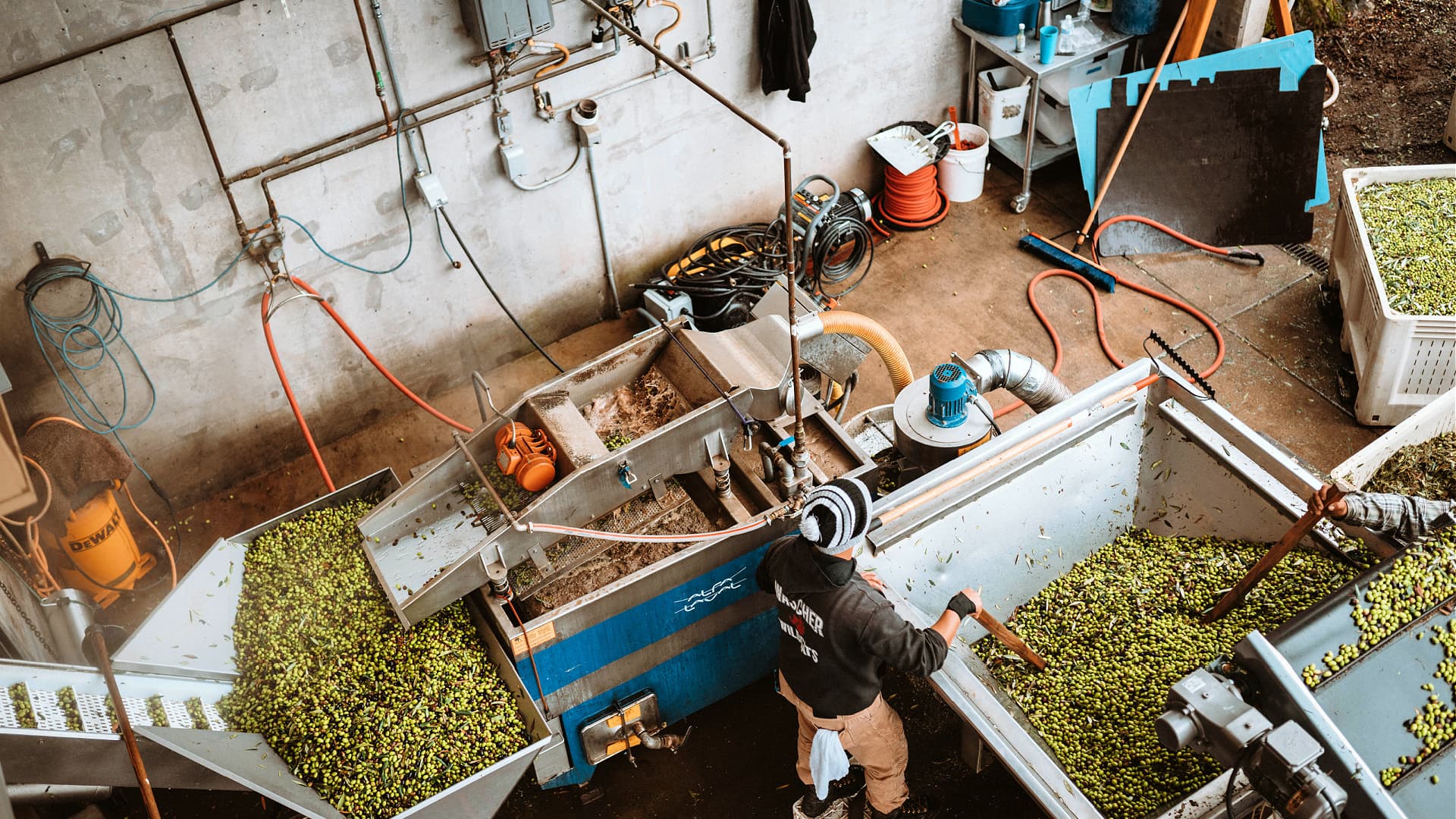 With five more awards, Durant Olive Mill again demonstrated that California does not hold the national monopoly on award-winning quality. (Photo: Durant Olive Mill)