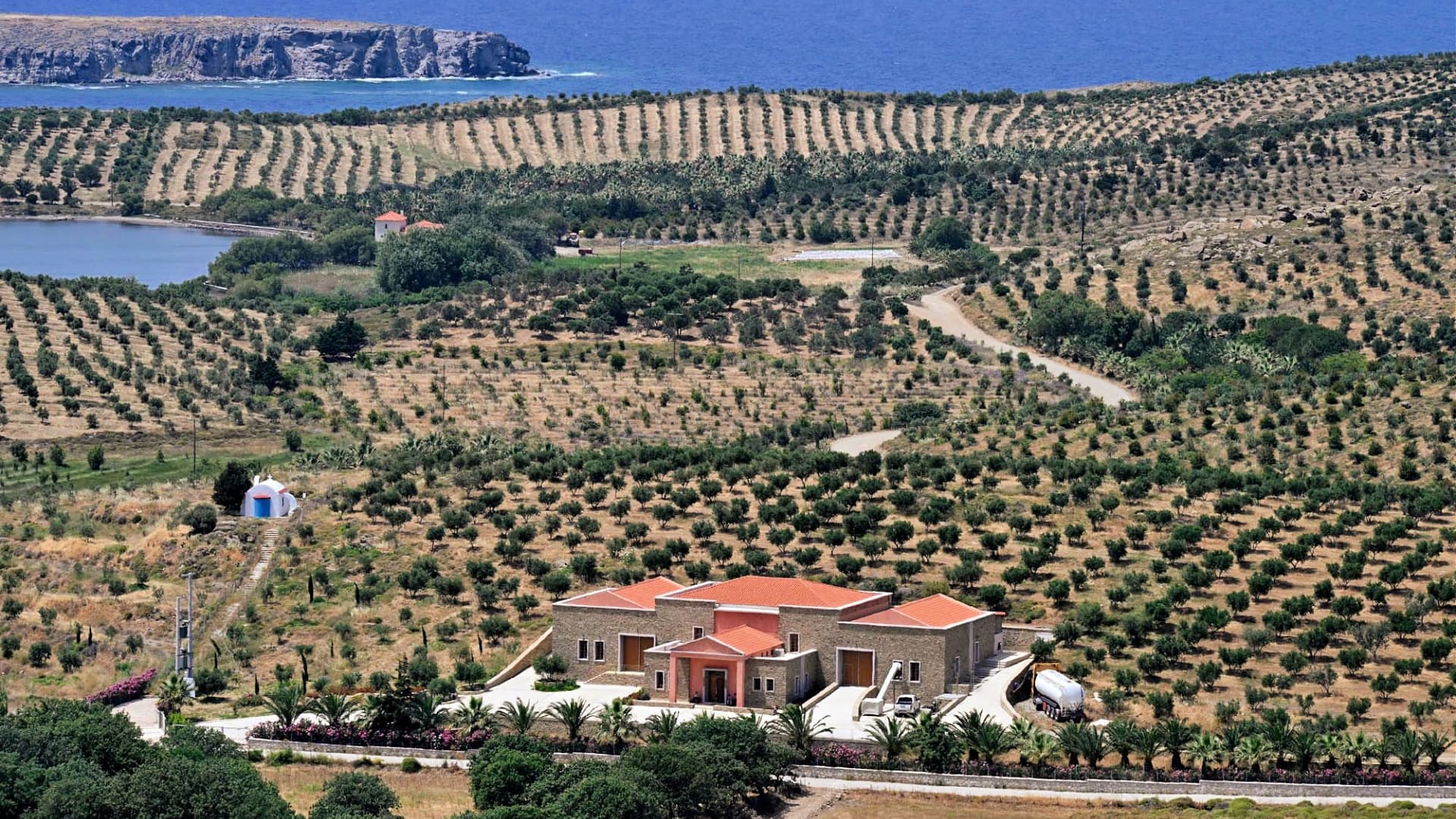 Falcon on Lesbos has transformed barren land to an award-winning olive grove. (Photo: Falcon)