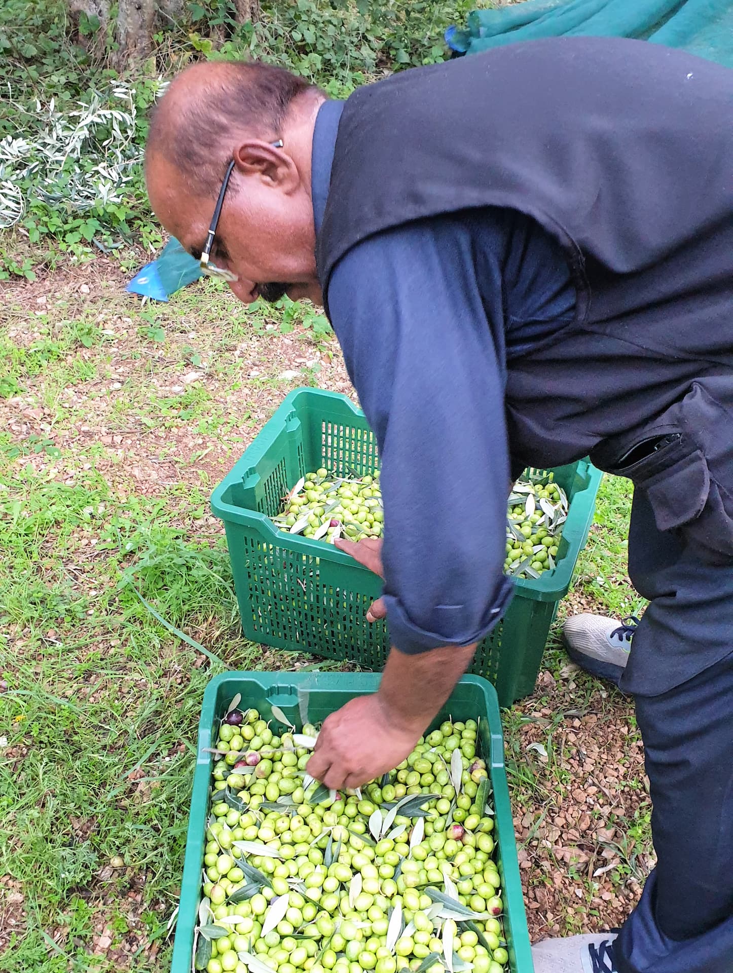 Giancarlo Biagioli waited 15 years before buying his one hectare farm of Coroncina. (Photo: Biagioli Farm)
