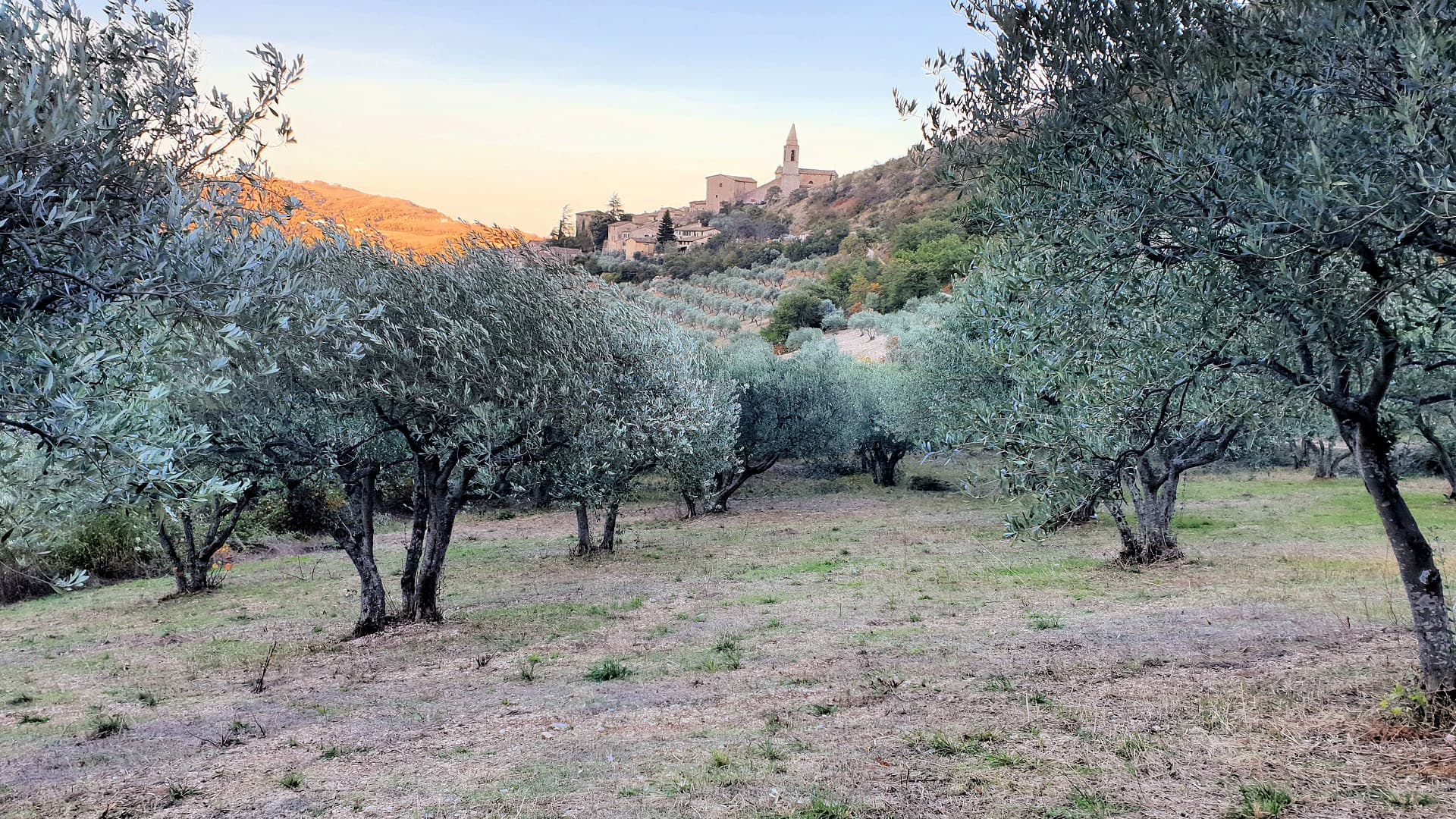 (Photo: Biagioli Farm)